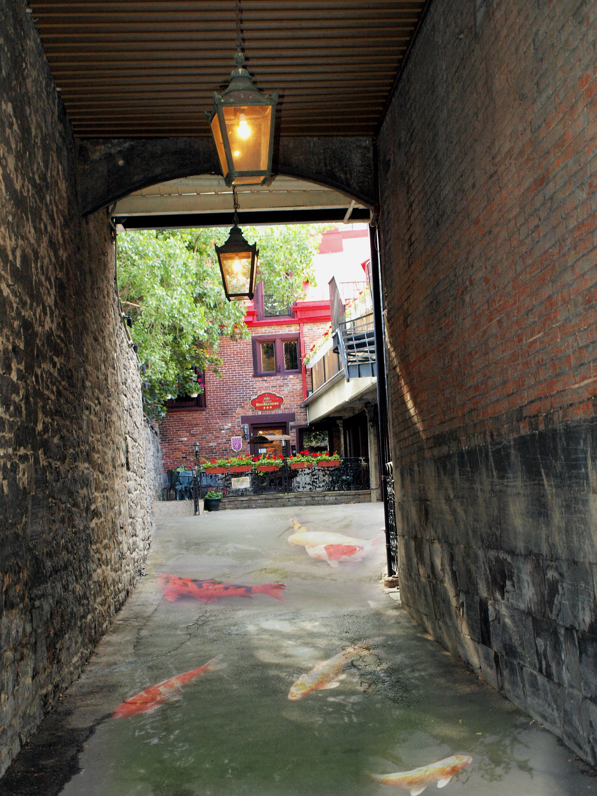 March of the Alligators  Digital Photogrpah