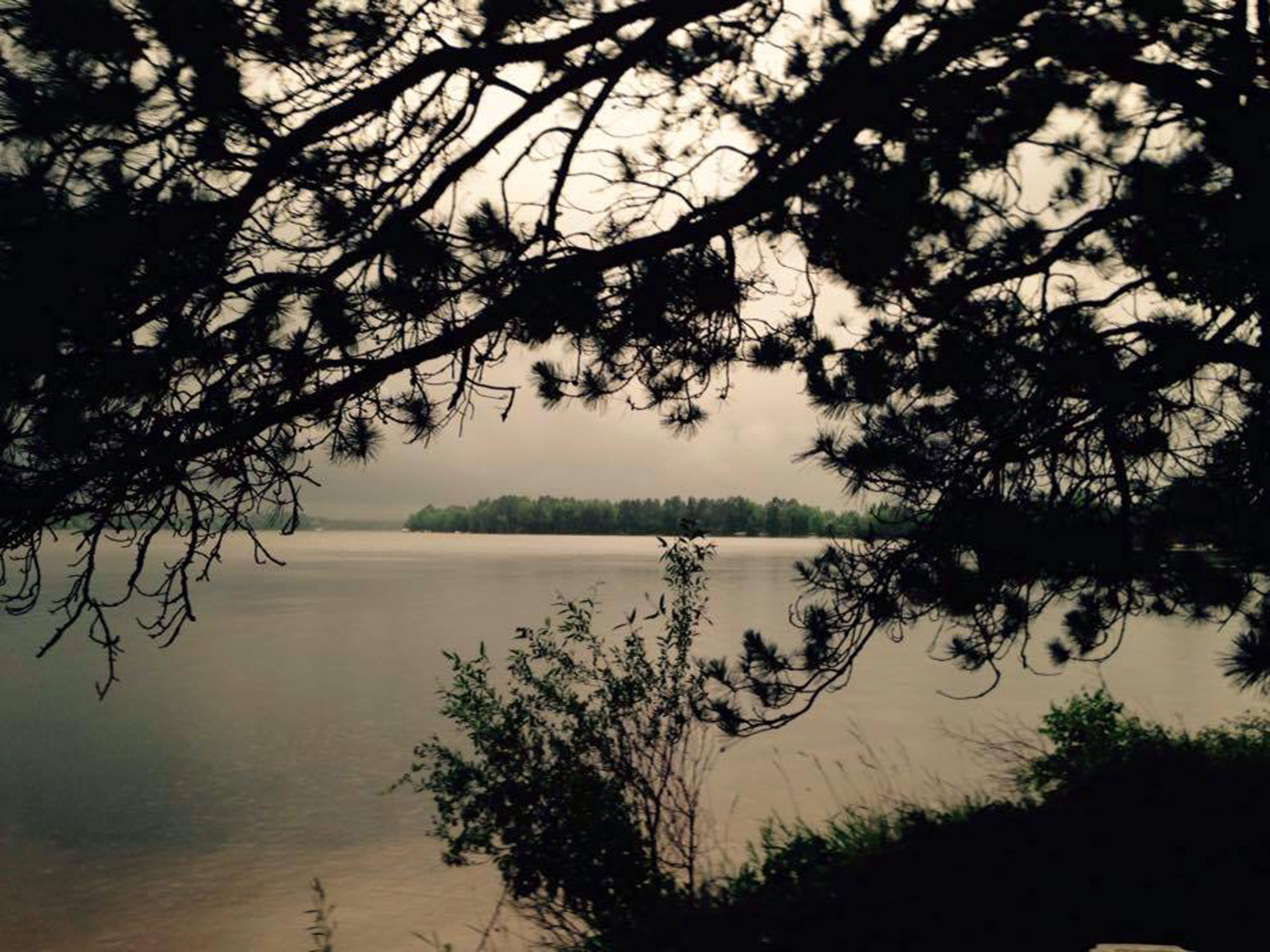 Conversions Rain  Digital Photgraph