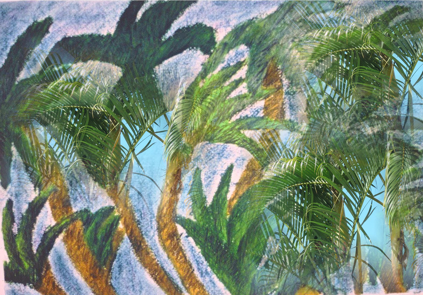 Palm Patch  Digital Photograph