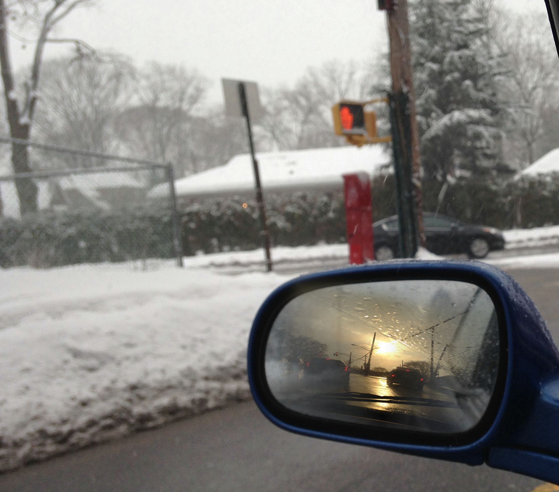 In Like a Lion 5    Digital Photograph