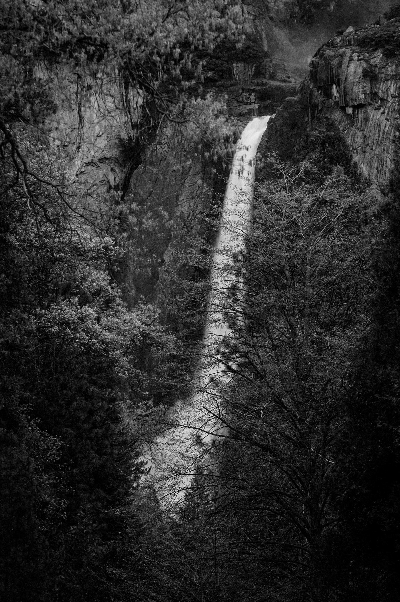 Yosemite Falls black and white, Yosemite National Park, California, USA