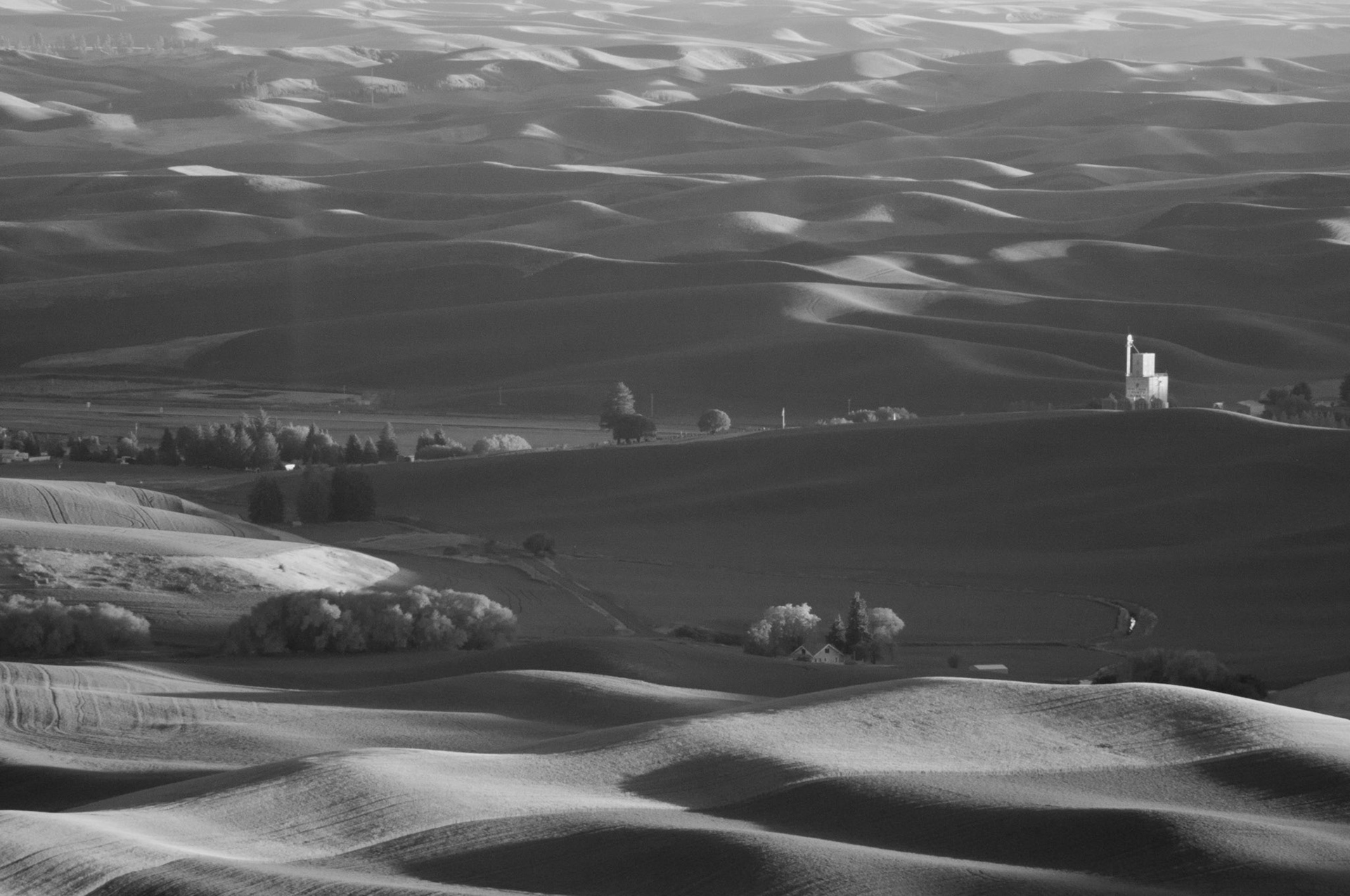 The Palouse viewed from Steptoe Butte State Park, Washington, USA