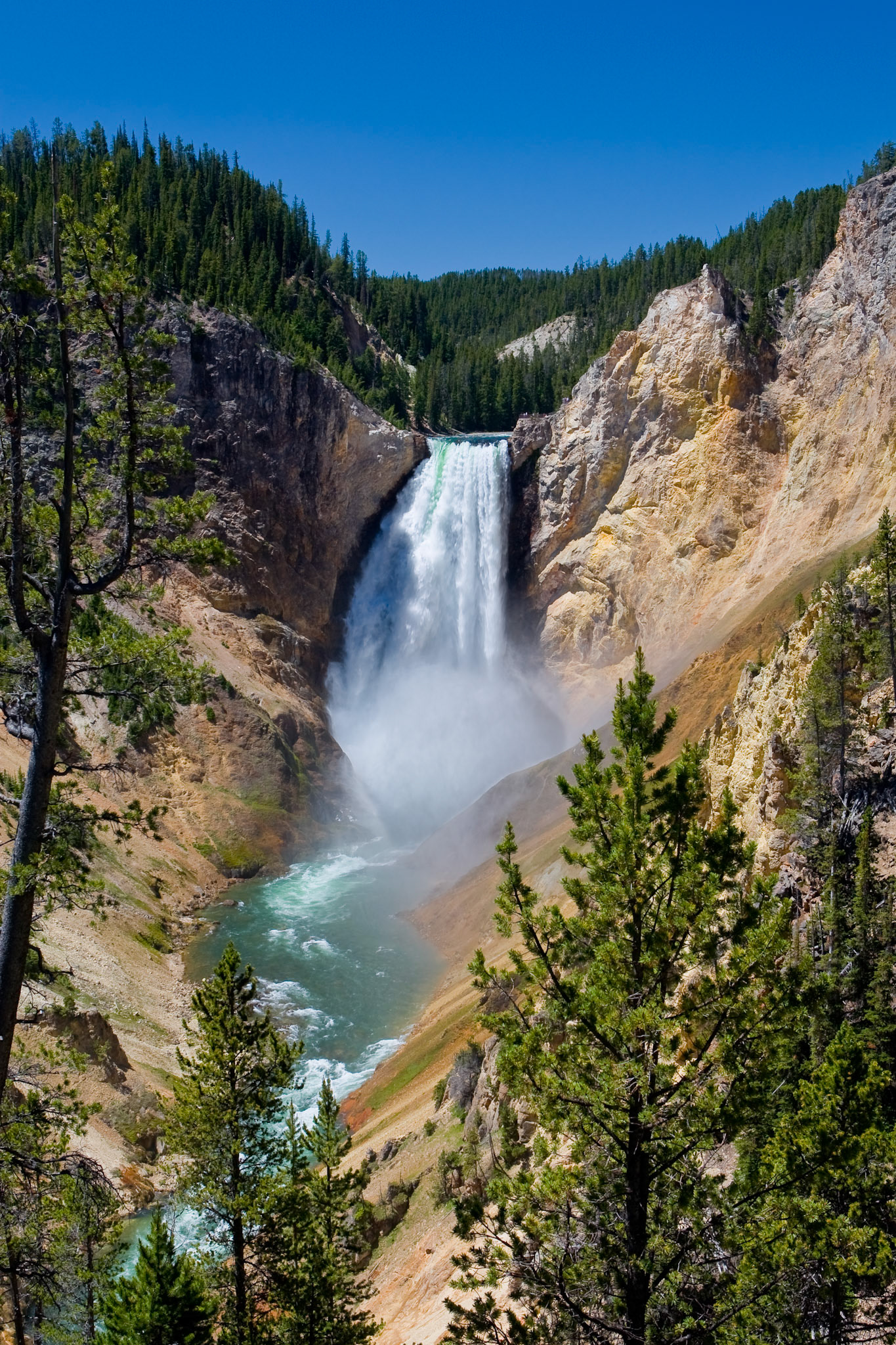 The Lower Falls of the Yellowstone River as seen from Red Rock Point in the Grand Canyon of the Yellowstone.