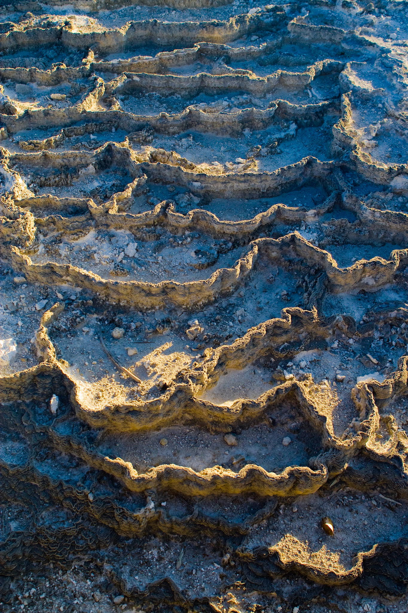 Calcium Carbonate formations at Mammoth Hot Springs