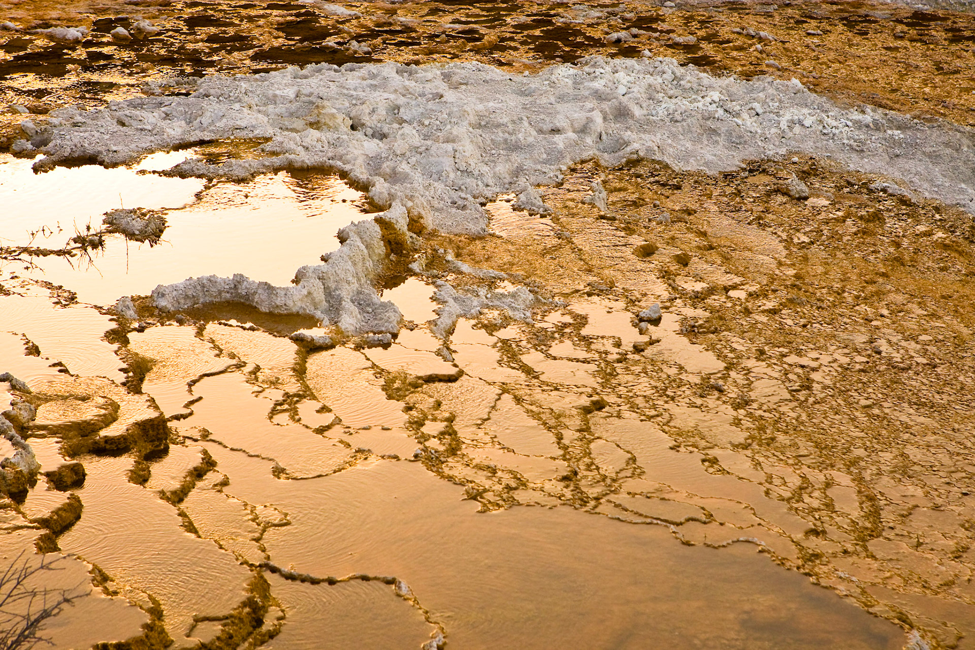 Sunset on Palette Spring at Mammoth Hot Springs
