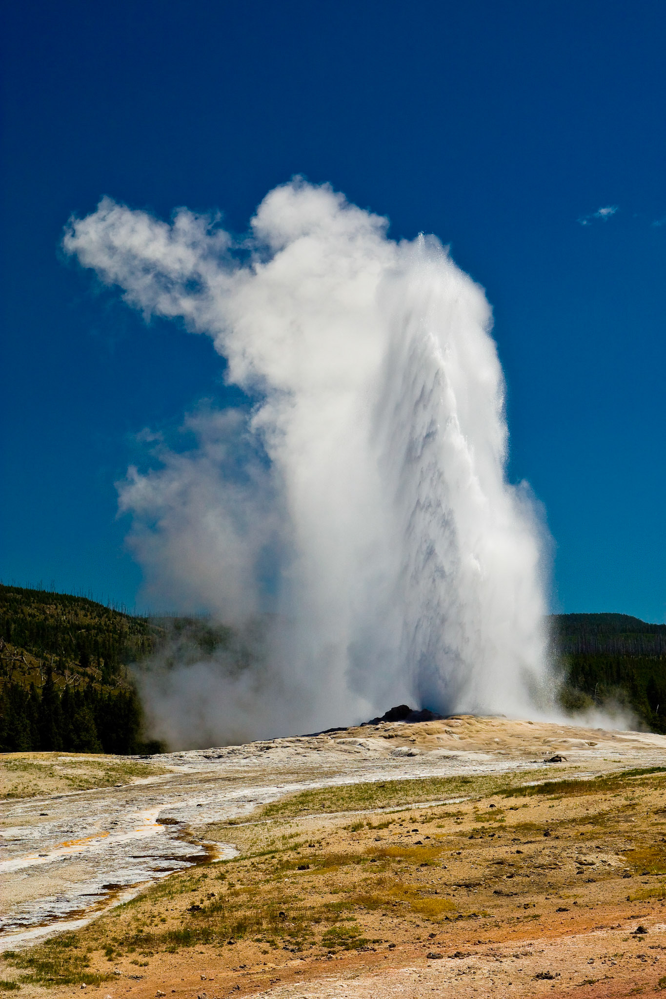One of the best known geysers in the world, Old Faithful erupts in Yellowstone National Park.