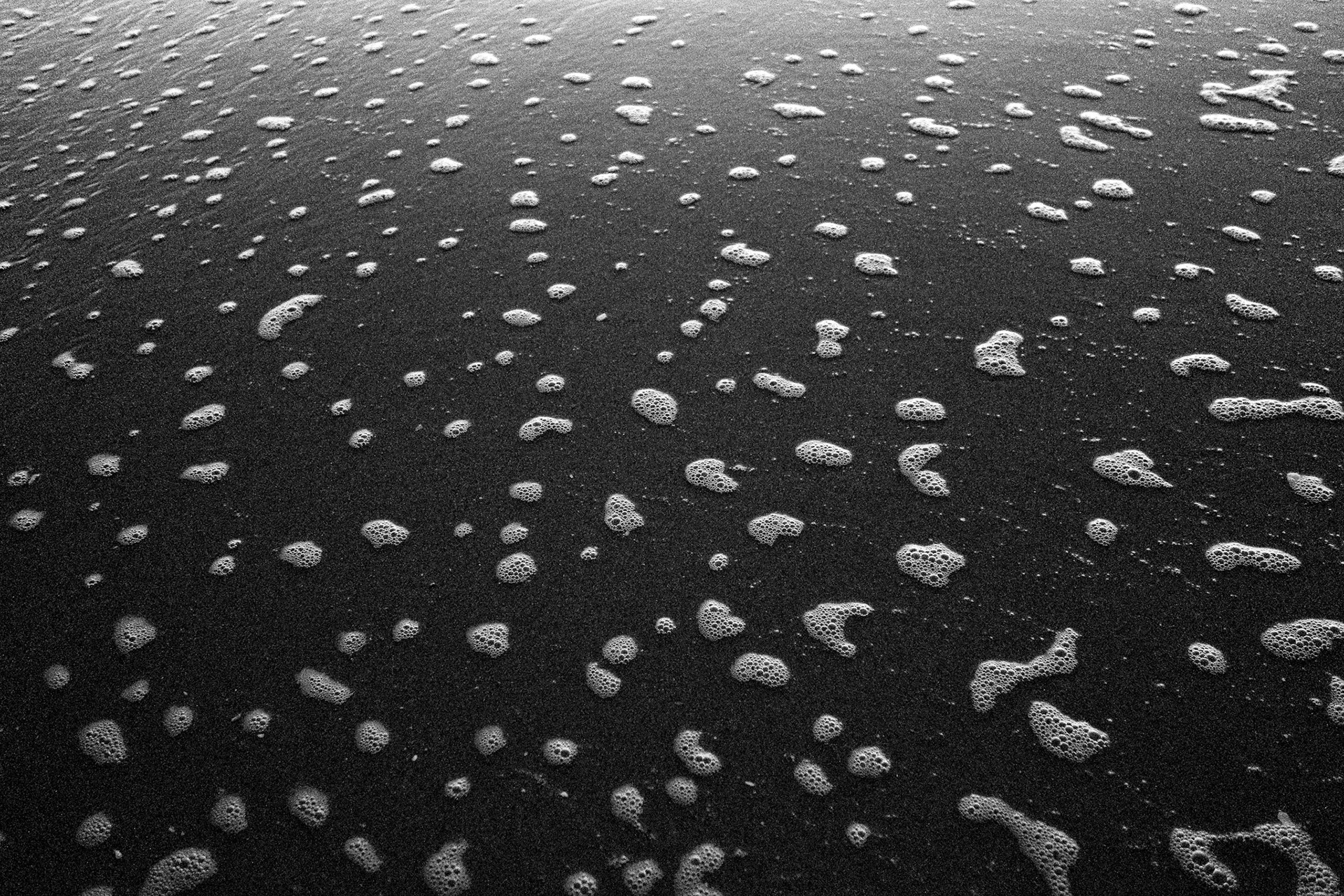 Foam from a wave rests on the sand on Seacliff State Beach.