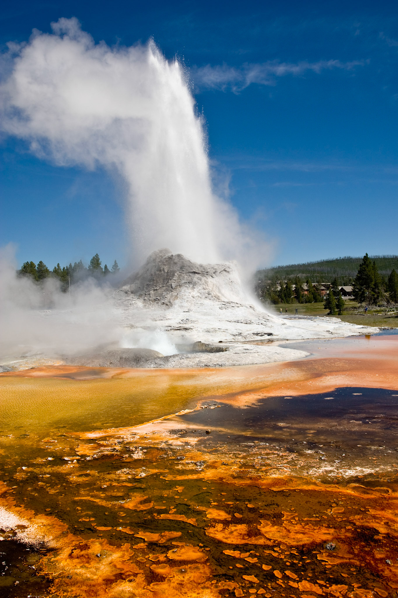 Castle Geyser erupts in Yellowstone National Park's Upper Geyser Basin.
