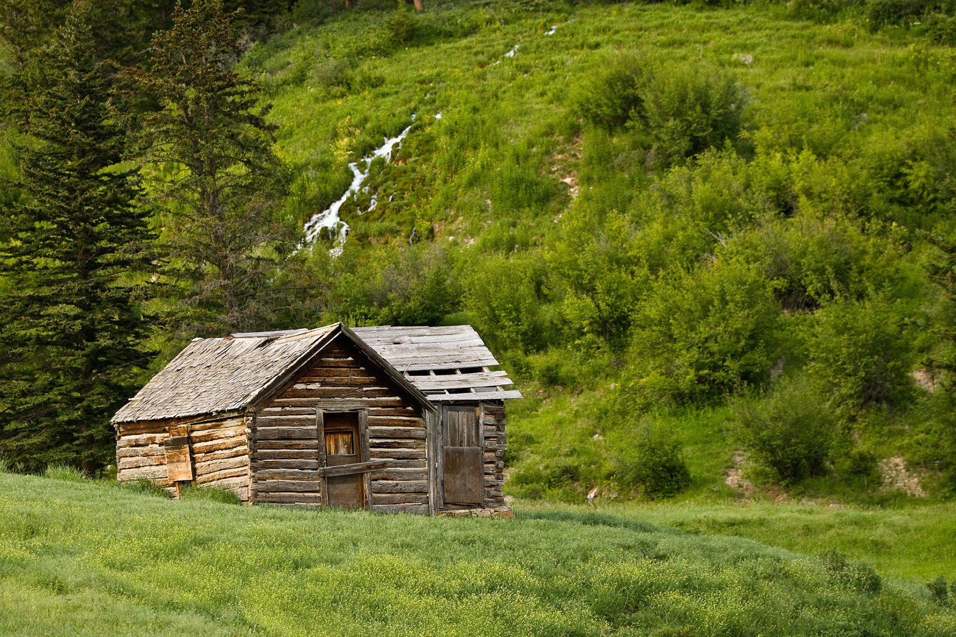 An old shack sits on the road to the Meyer's Creek Ranger Station