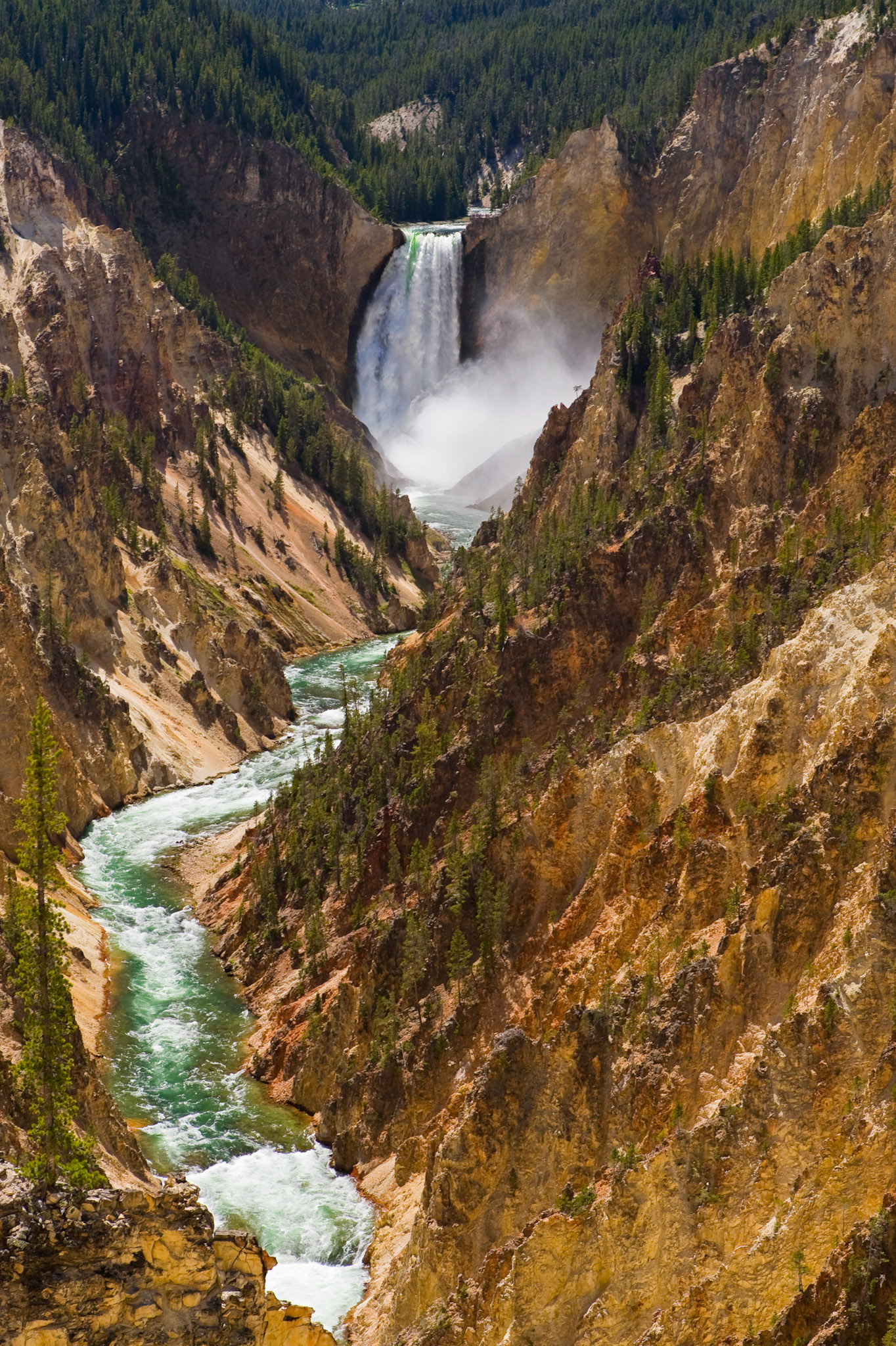 The Lower Falls of the Yellowstone River as seen from Artist Point in the Grand Canyon of the Yellowstone.
