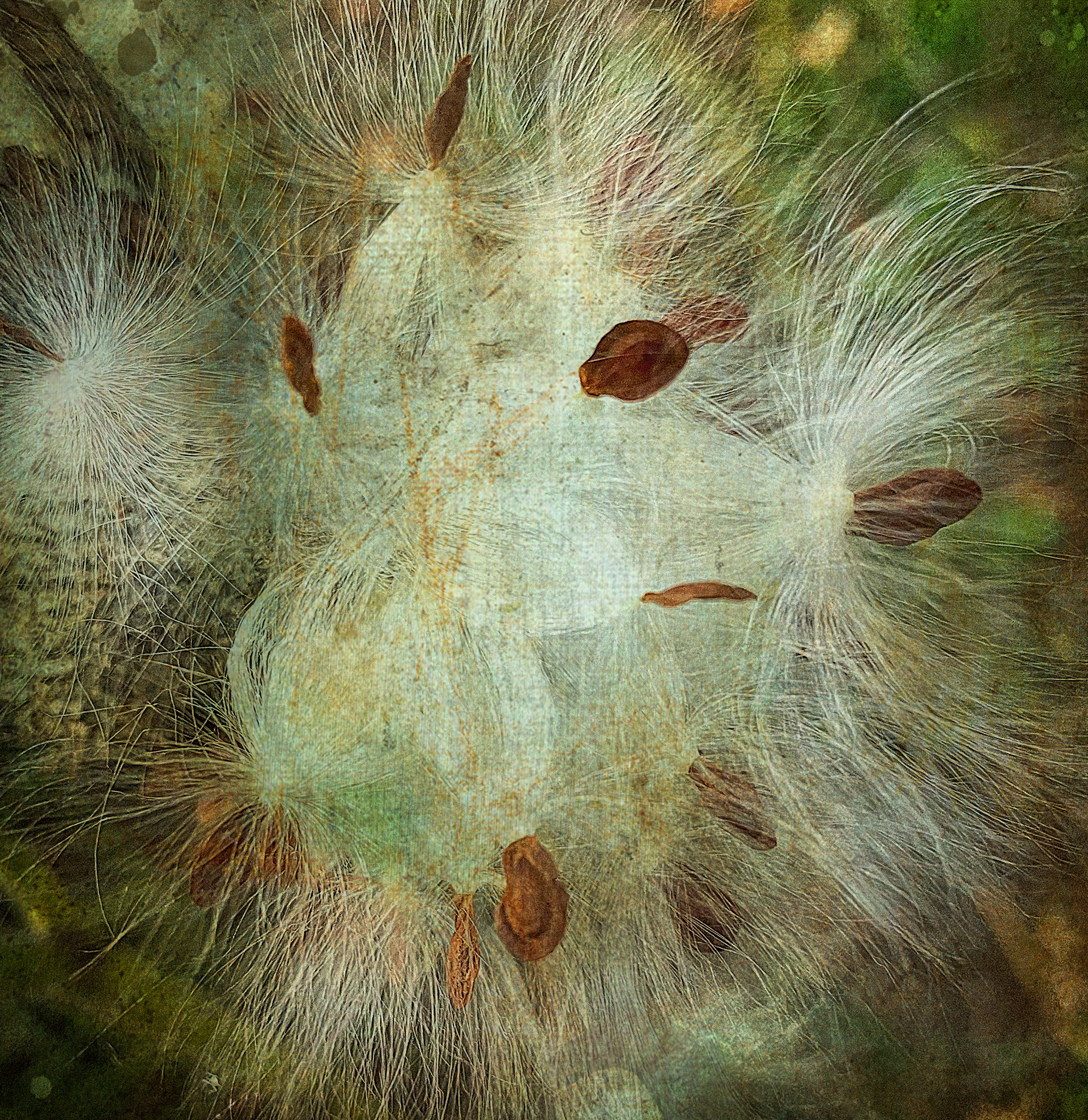 Debra Fisher Goldstein