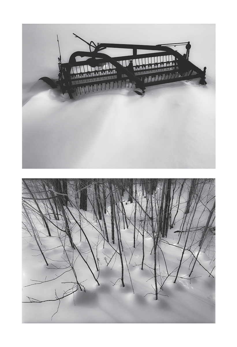 Winter Rakes