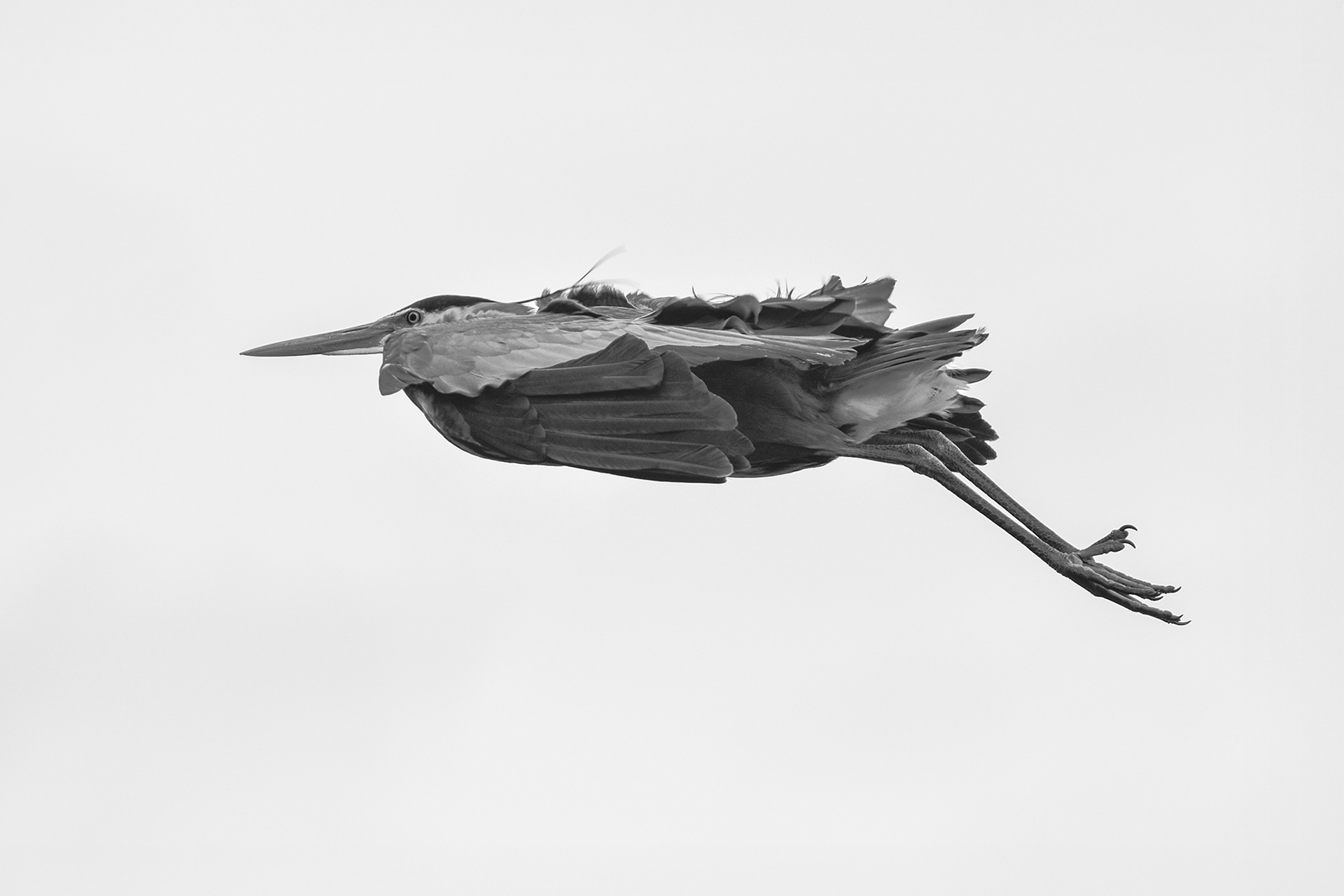 Glide