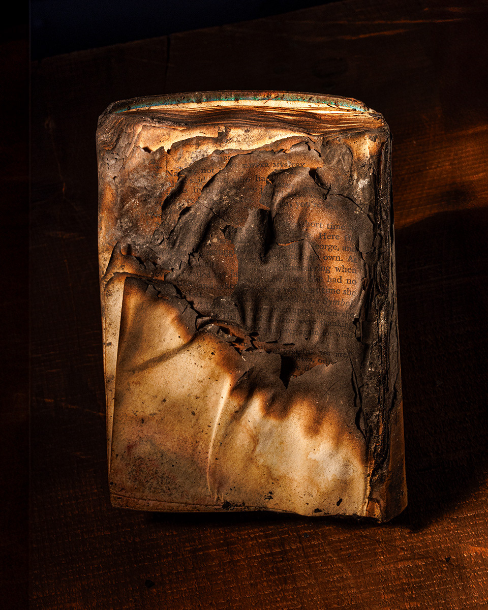 You Can Burn the Books But Not the Words