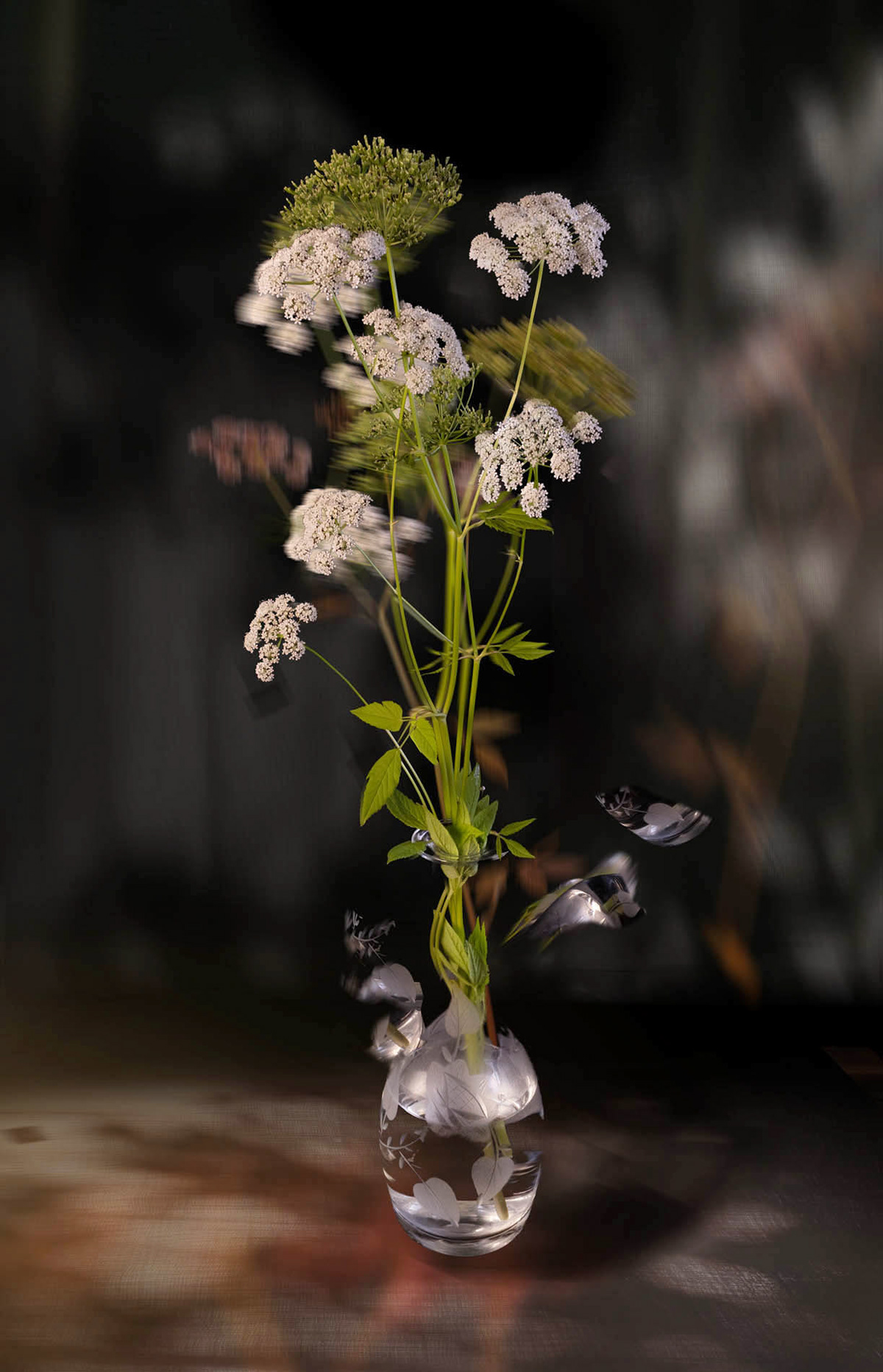 Deb Grossfield