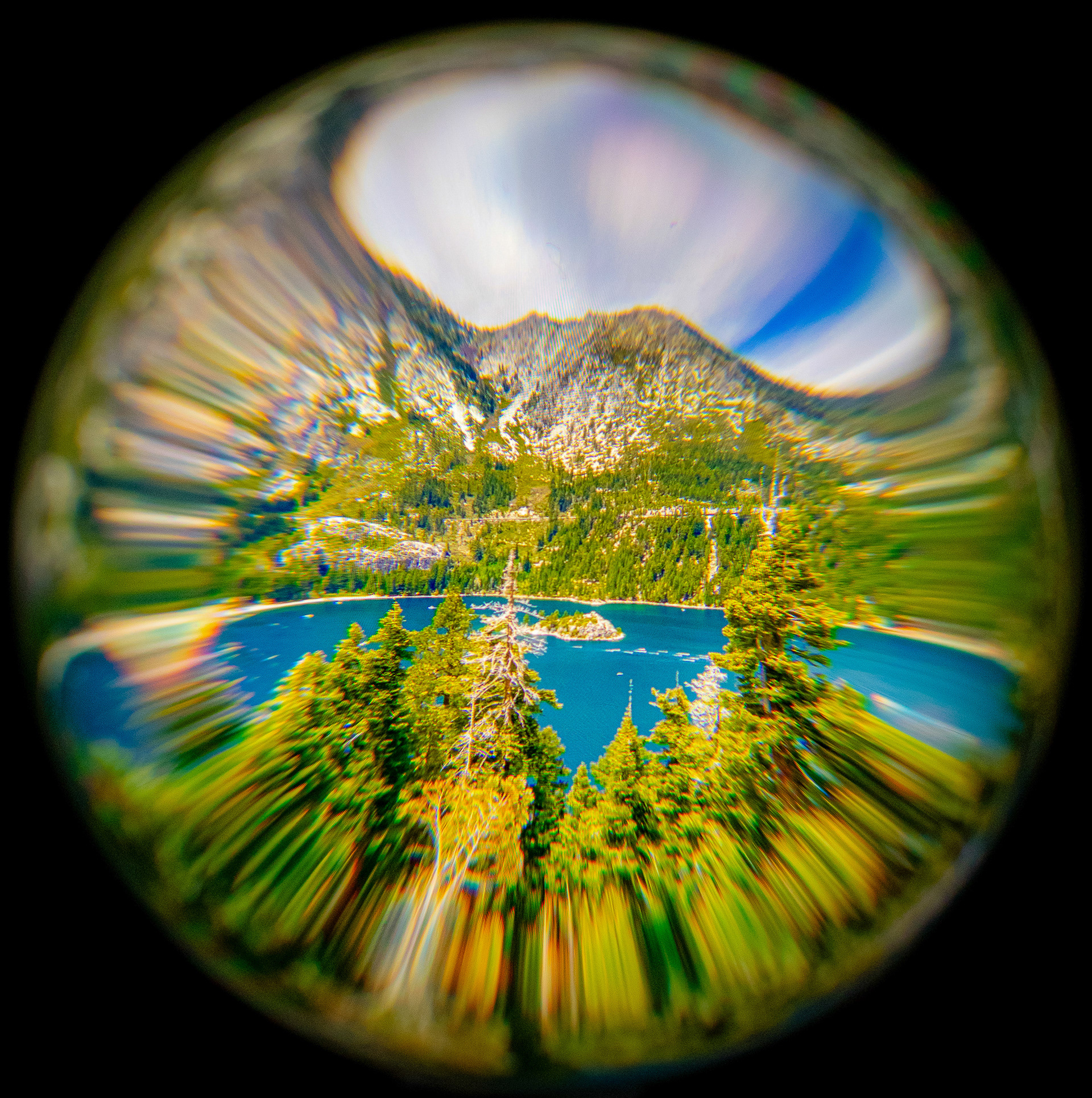 Whispers of the Pines