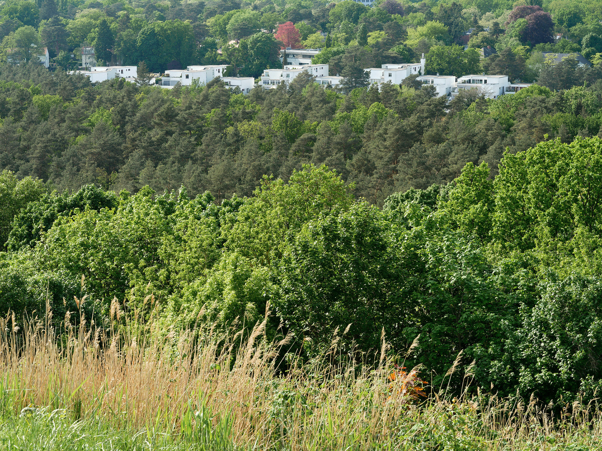 Teufelsberg