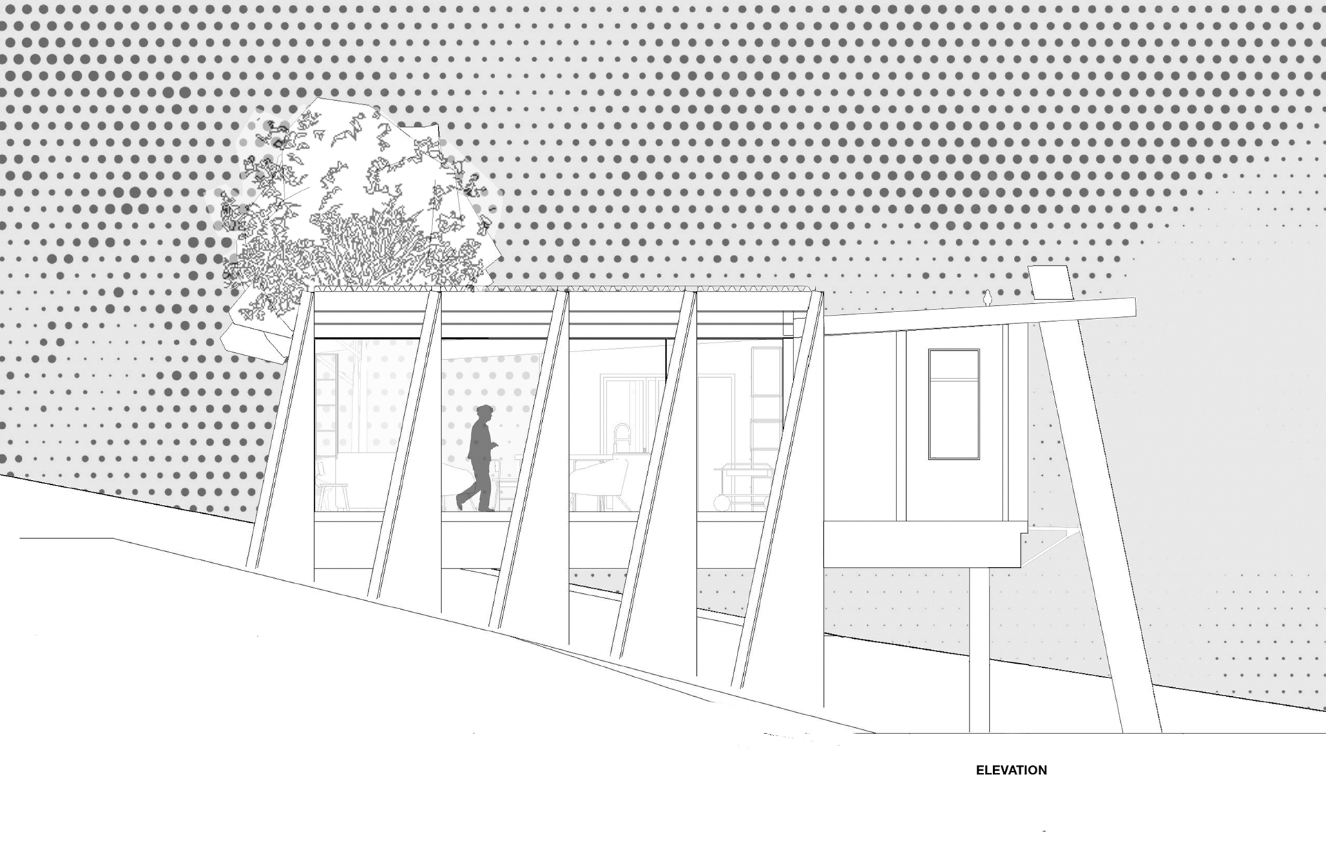elevation