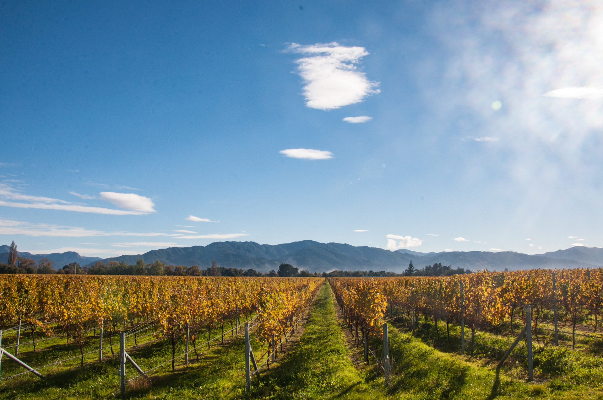 Malborough, NZ