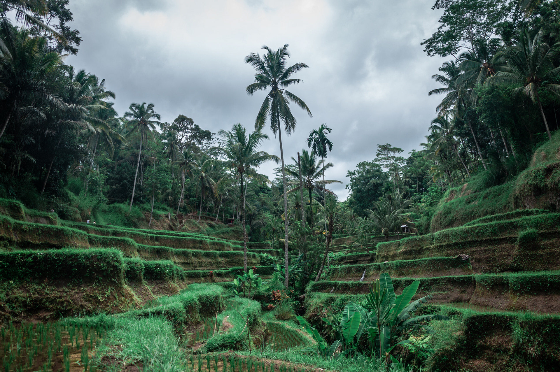 Ubud, Bali