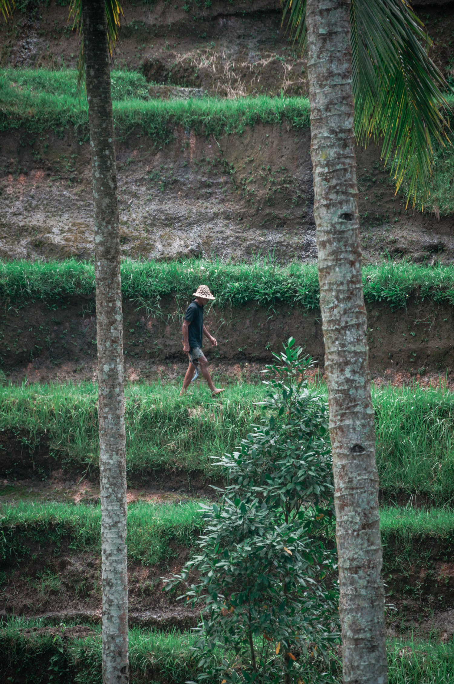 Ubud, Bali
