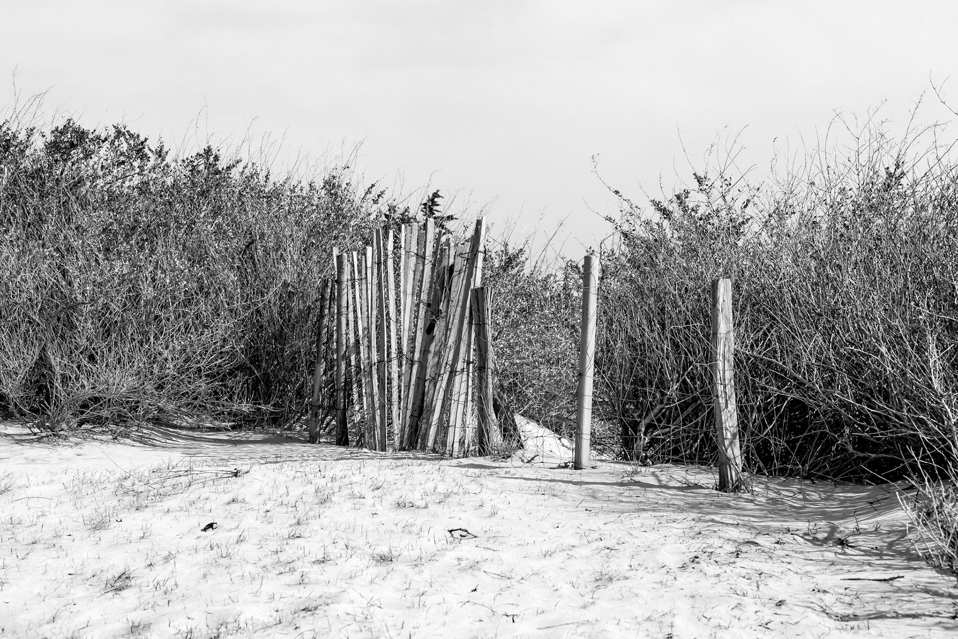 The Way to the Beach - Île de Ri, France 
