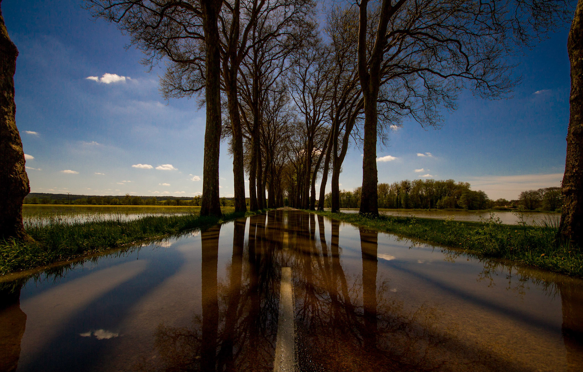 The Flooded Road, Bourgogne, France