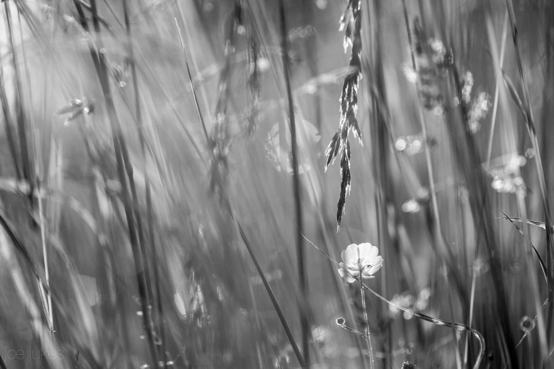 Sunrise, somewhere in France