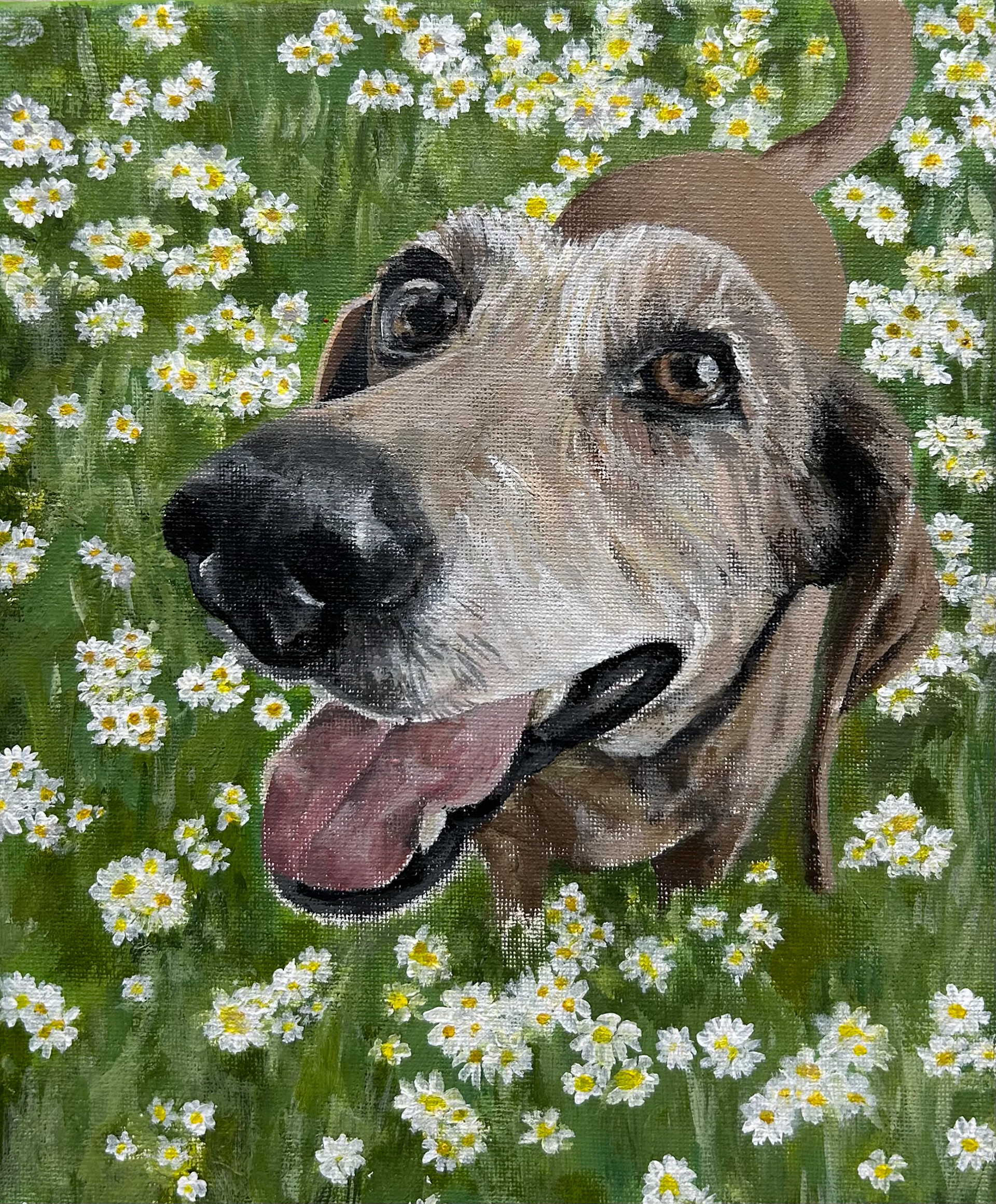 www.emilyspetpaintings.com