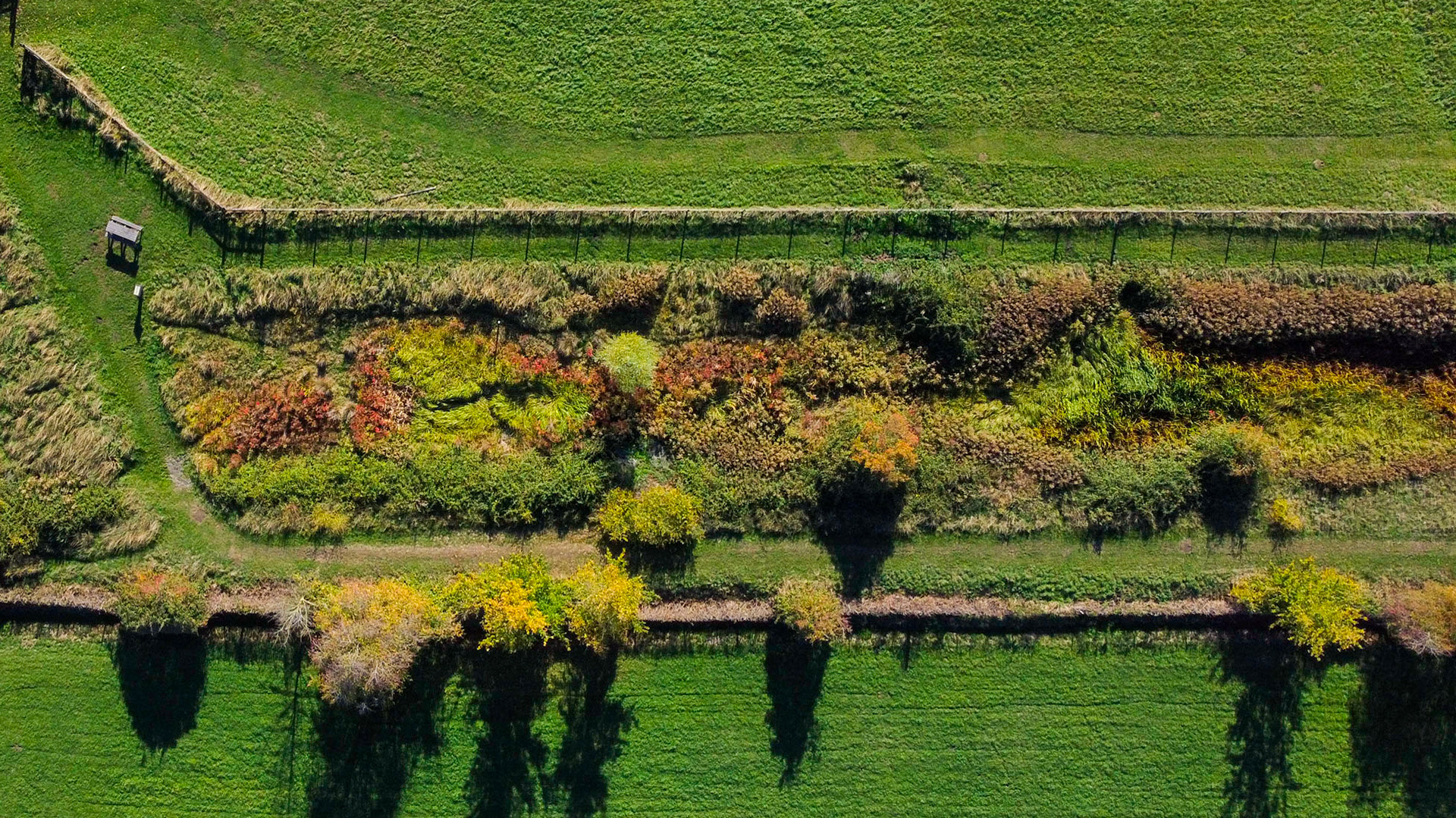 Autumn Colours
