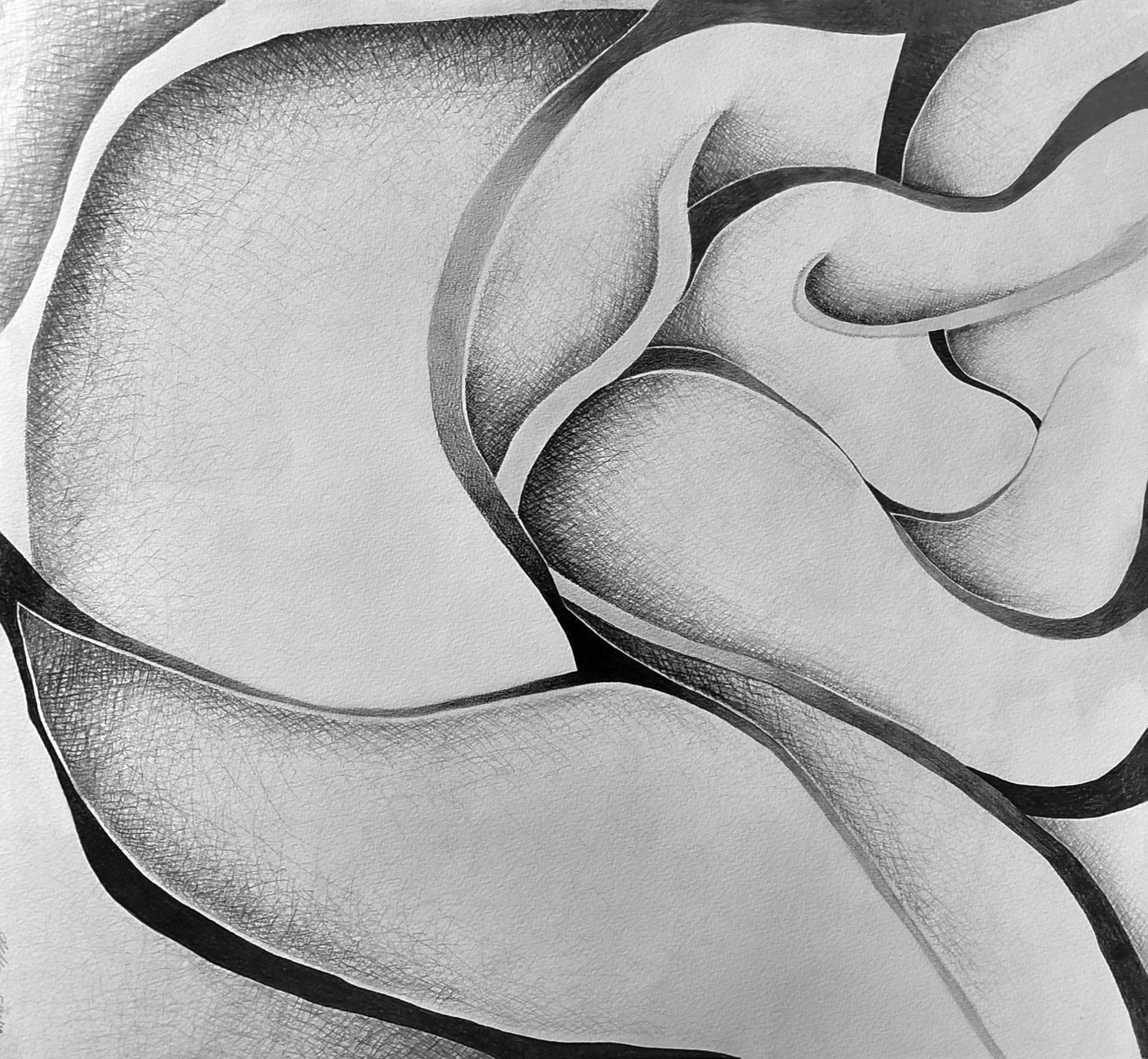 Abstract Flower - Graphite on paper (cross-hatching and blending technique)