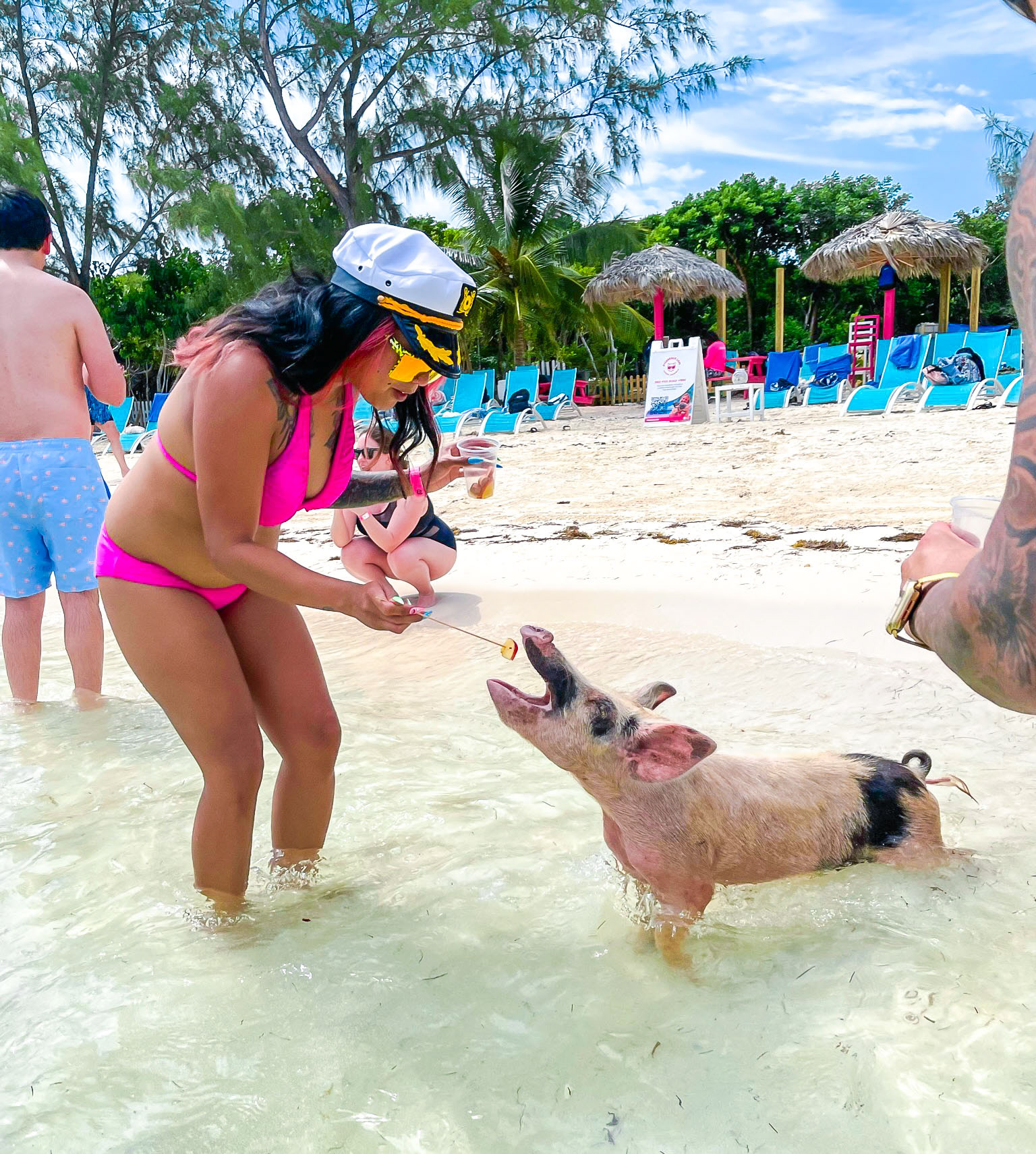 Feed and Swim with pigs - Athol Island
