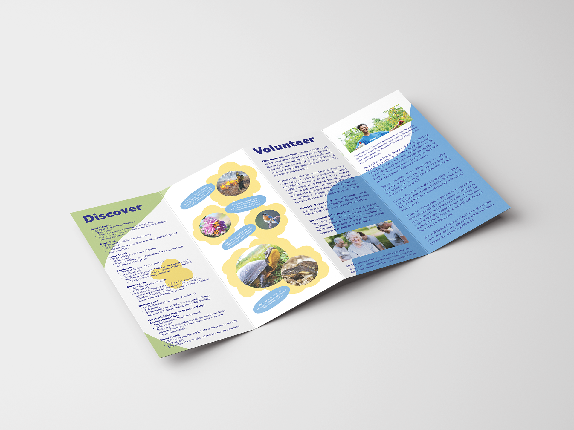 brochure Mockup Back