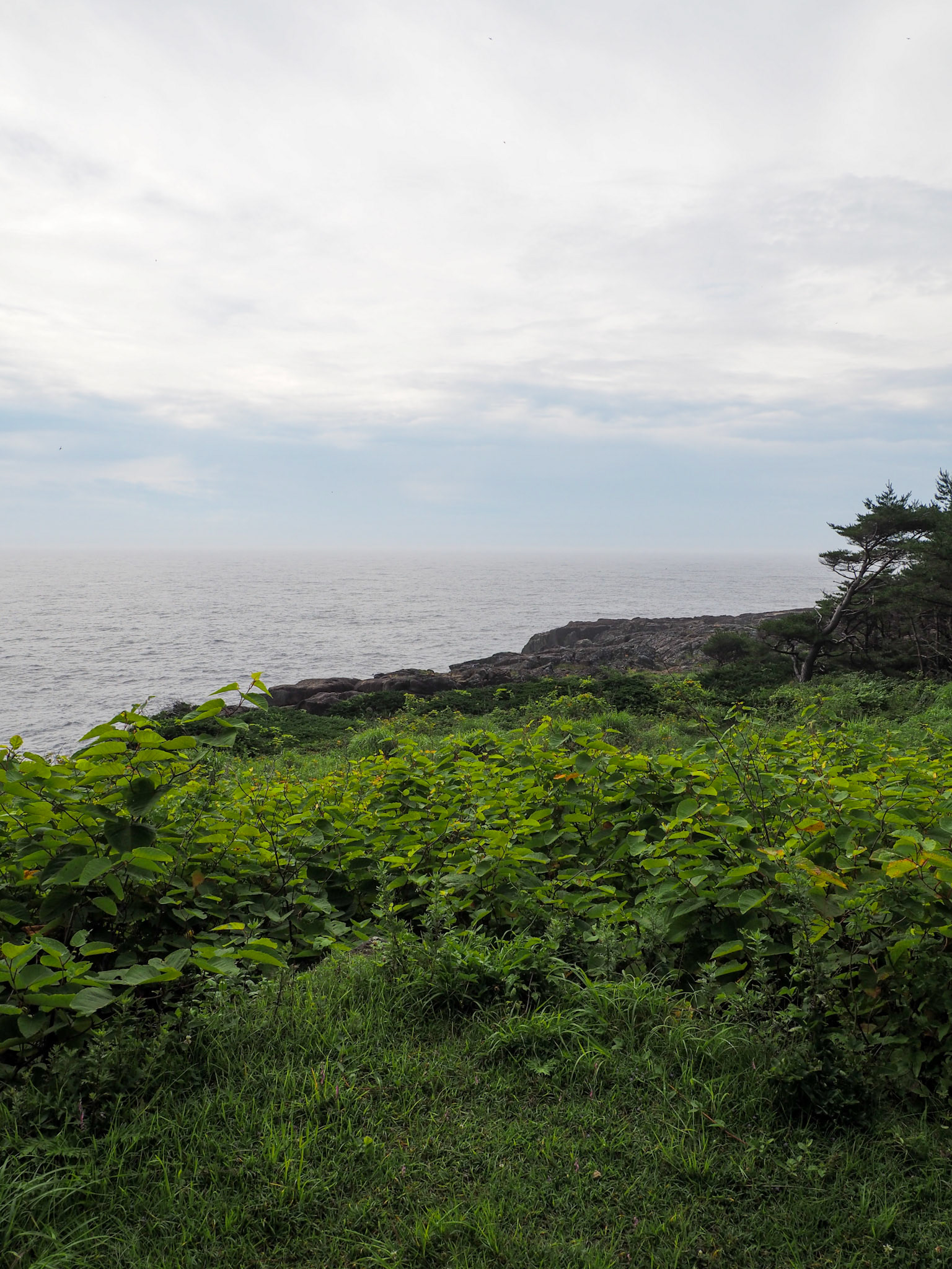 魹ヶ埼灯台