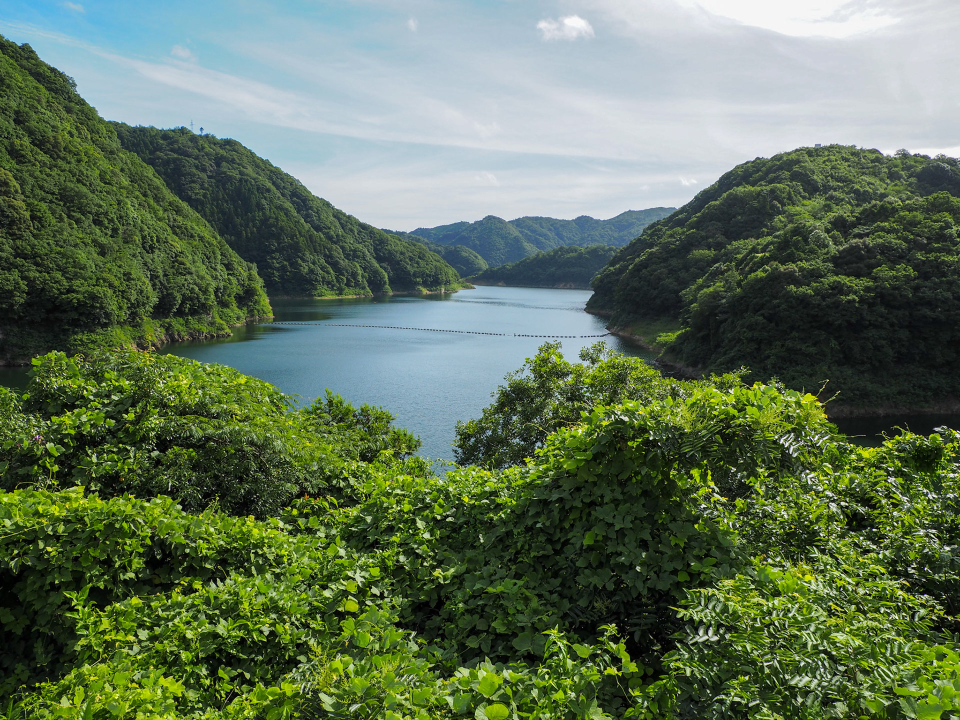 阿武川ダム