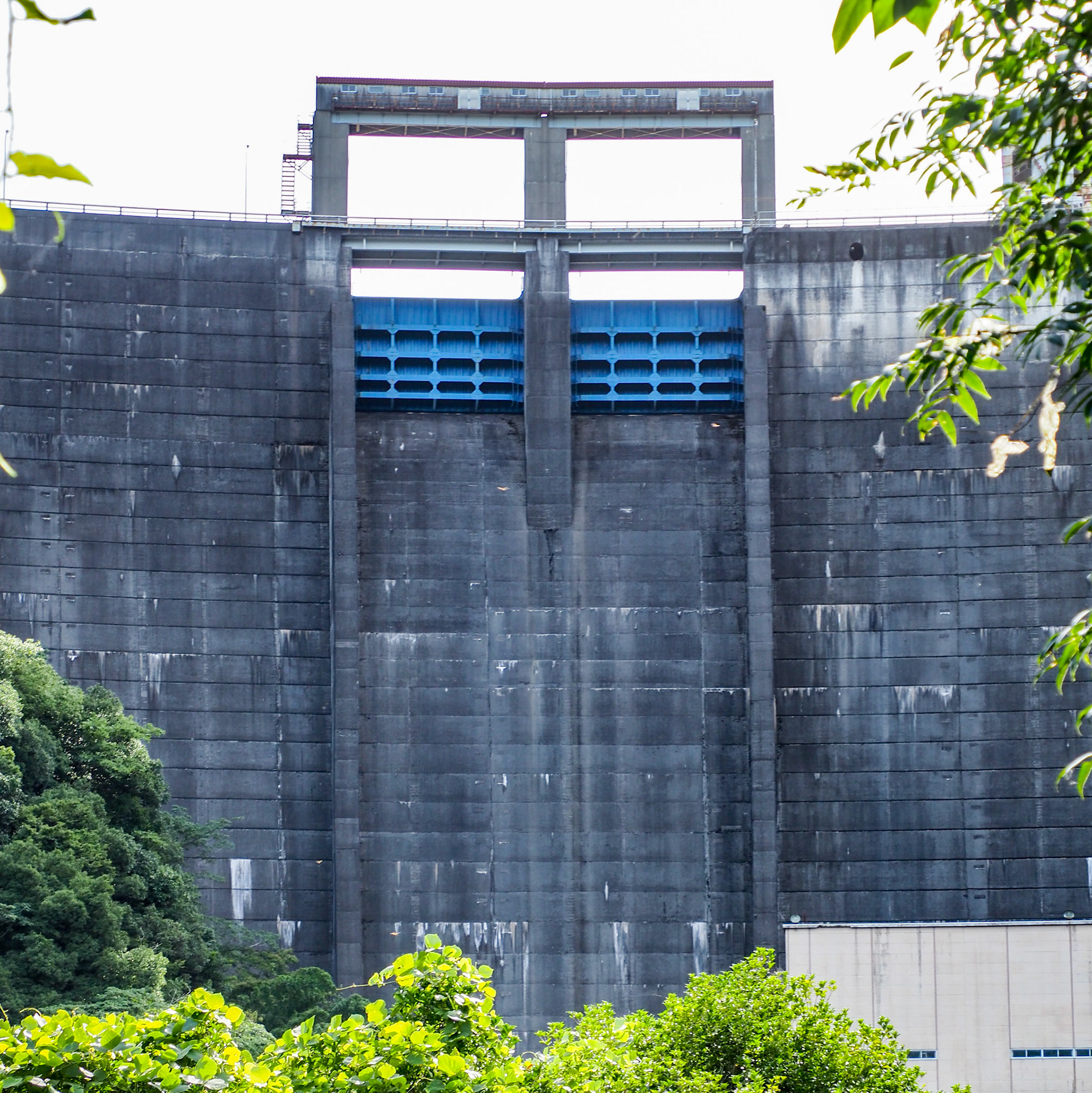 阿武川ダム