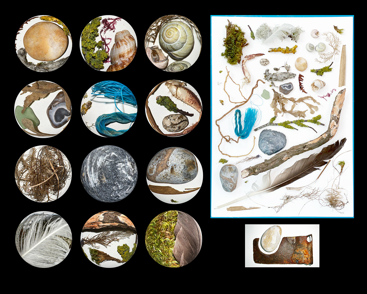 shoreline treasure