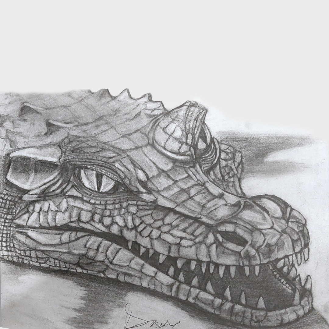 Crocodile 2