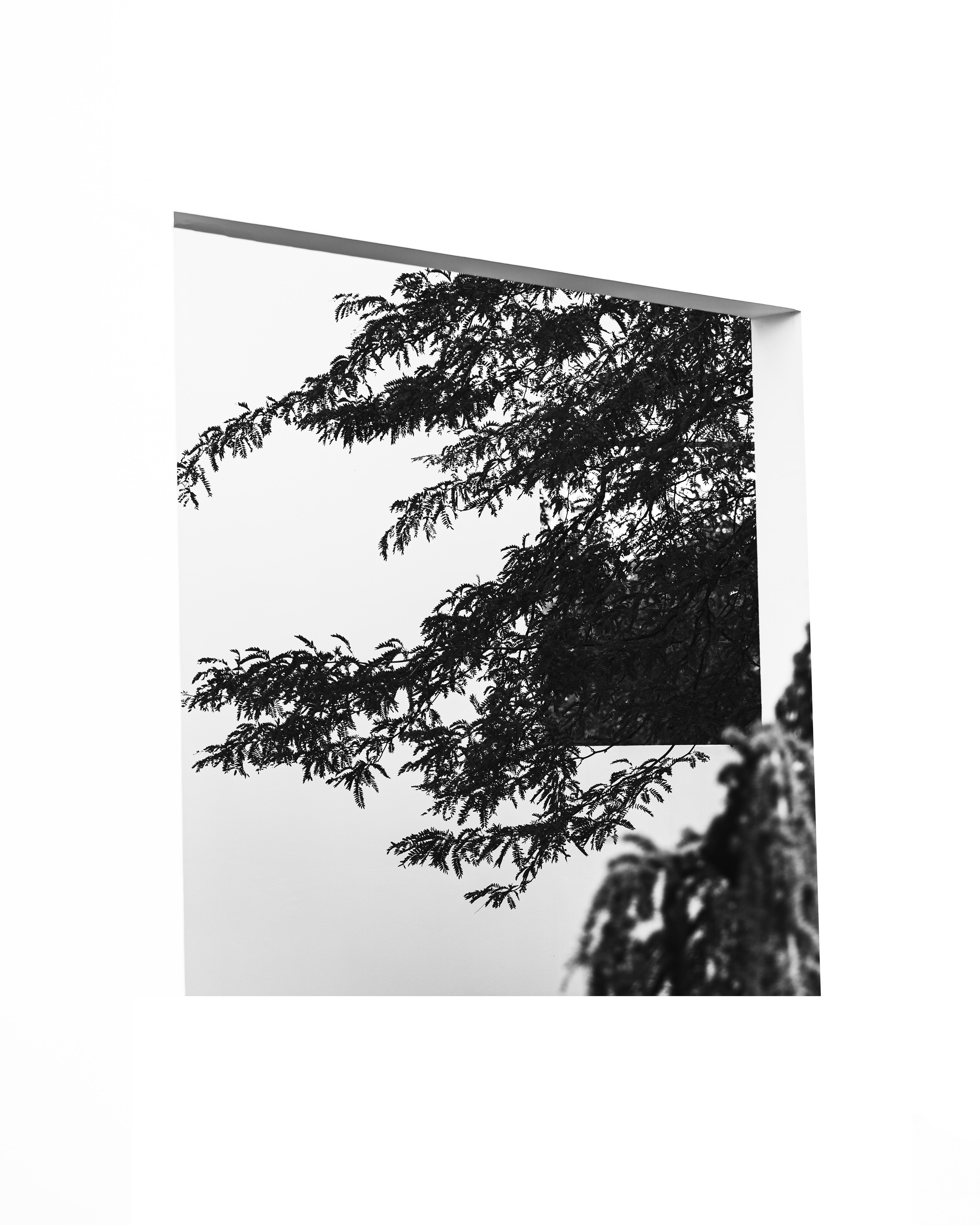 FRAMED