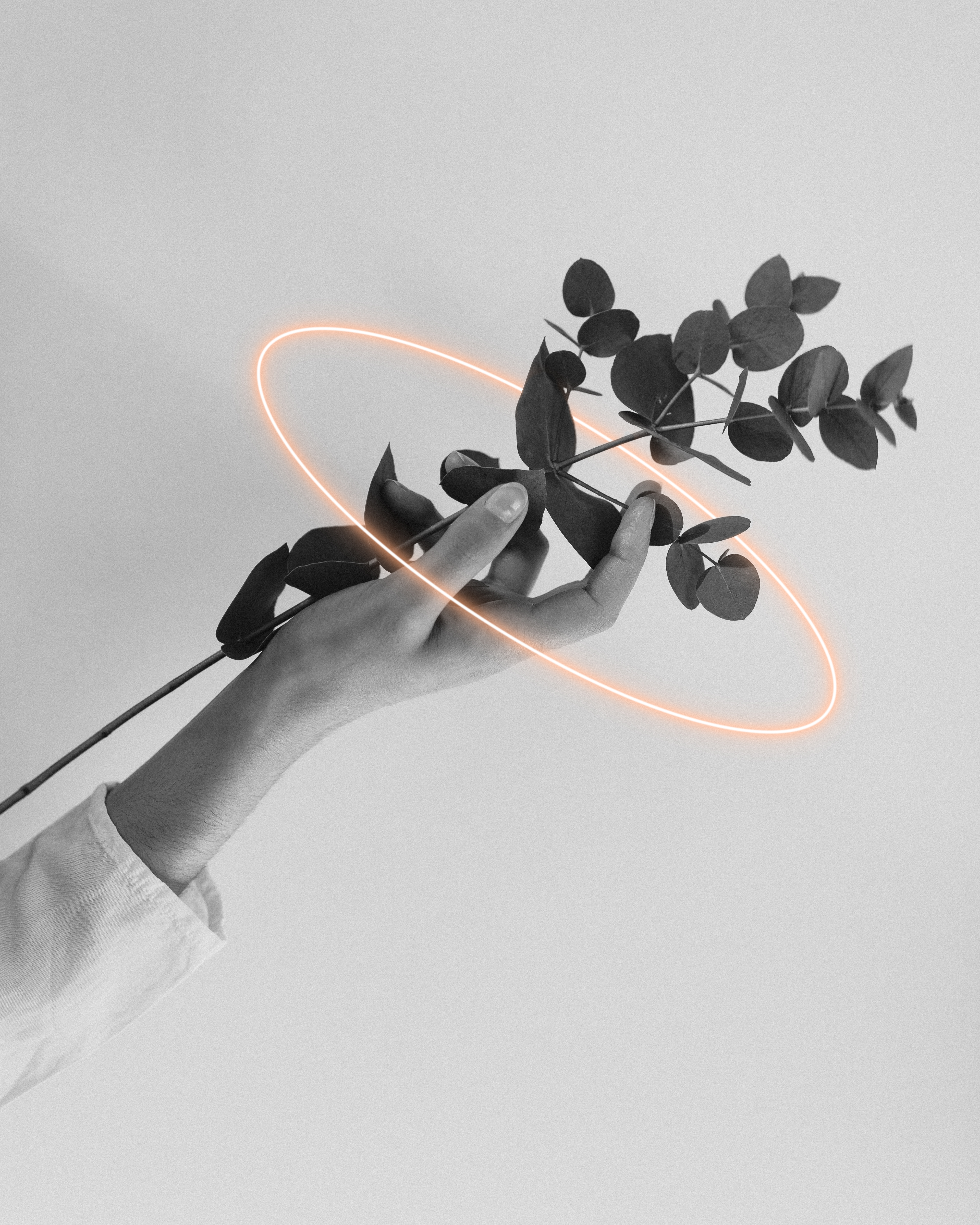 NEONFLOWER II