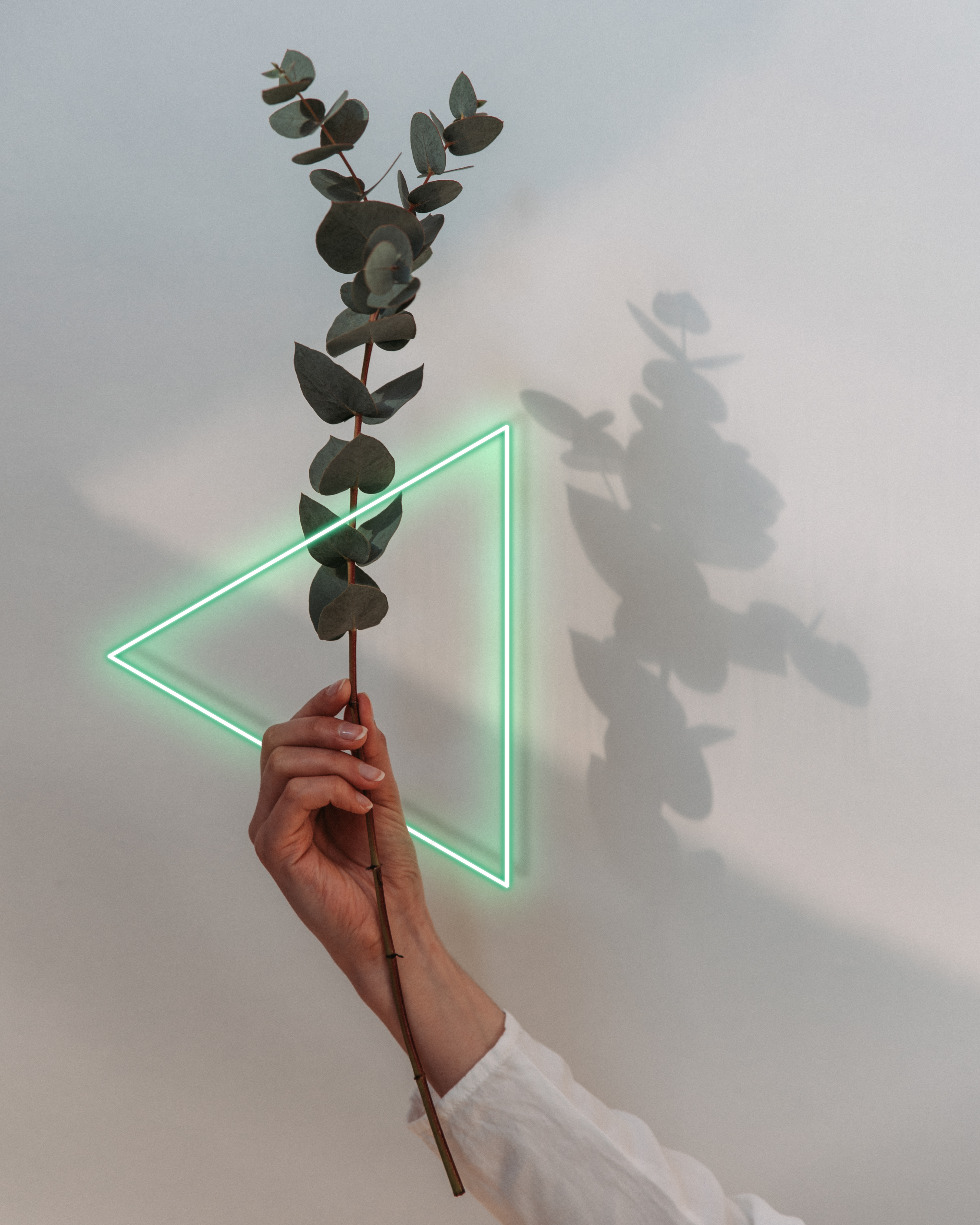 NEONFLOWER I