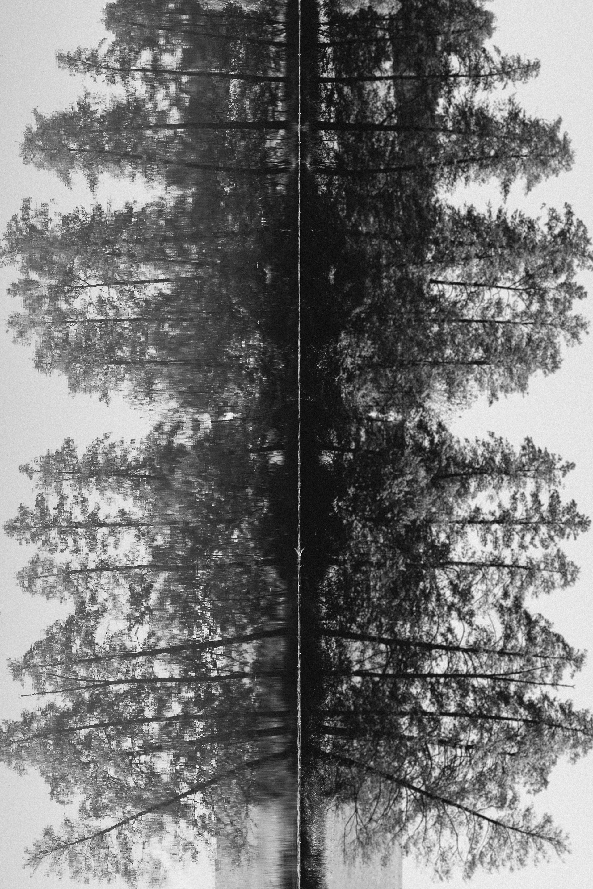 RORSCHACH