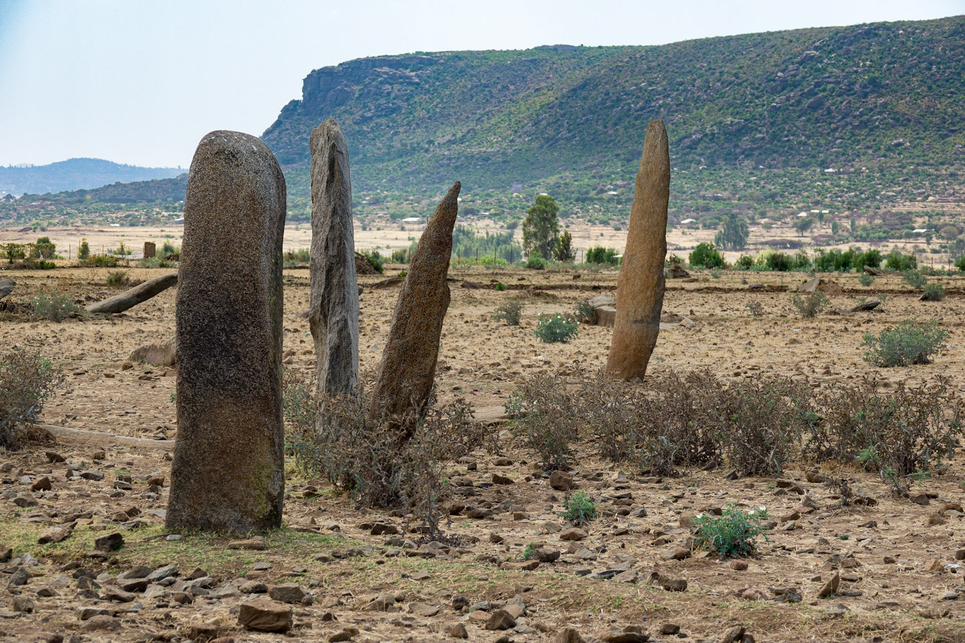 Stelae Field, Aksum, Ethiopia