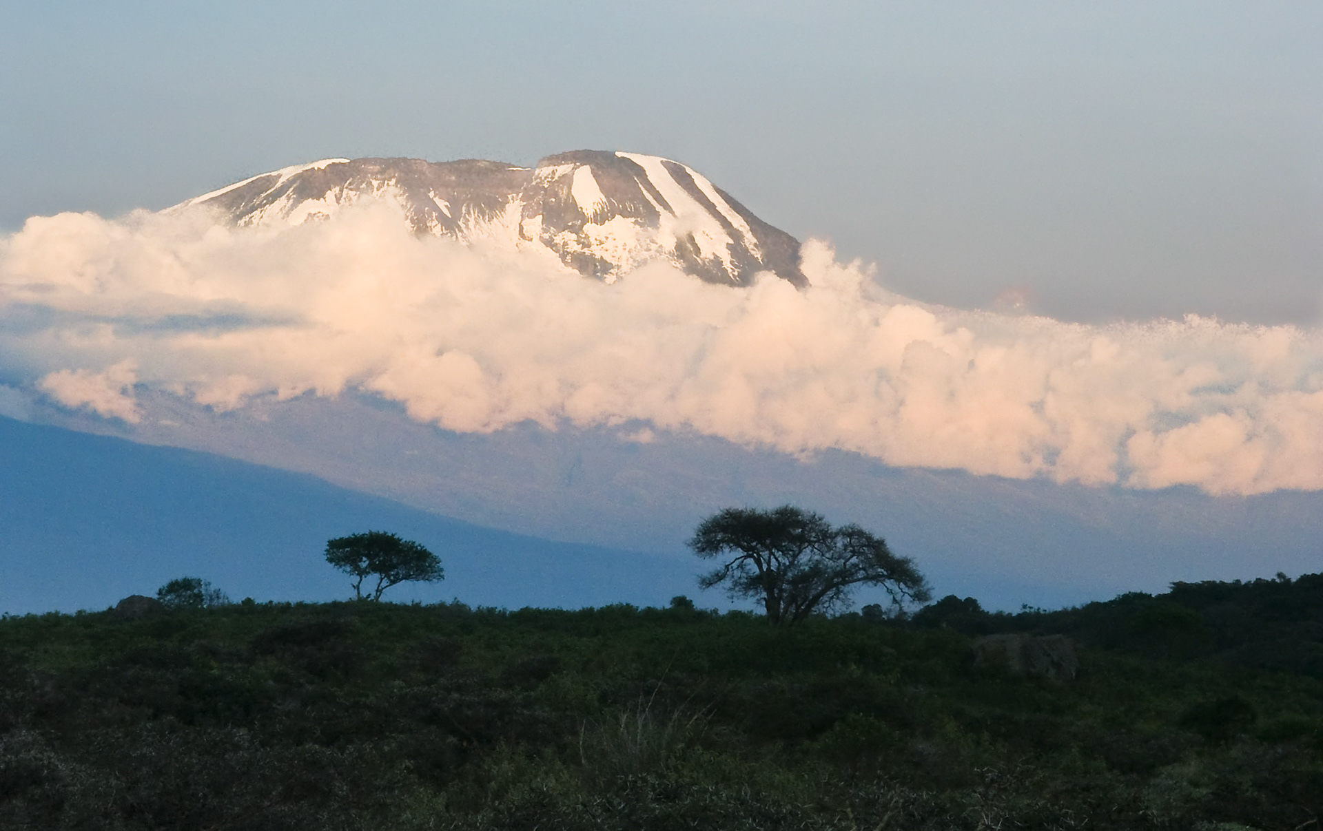 The majestic summit of Mount Kilimanjaro rises above a collar of cloud with vegetation on the slope of Mount Meru in the foreground