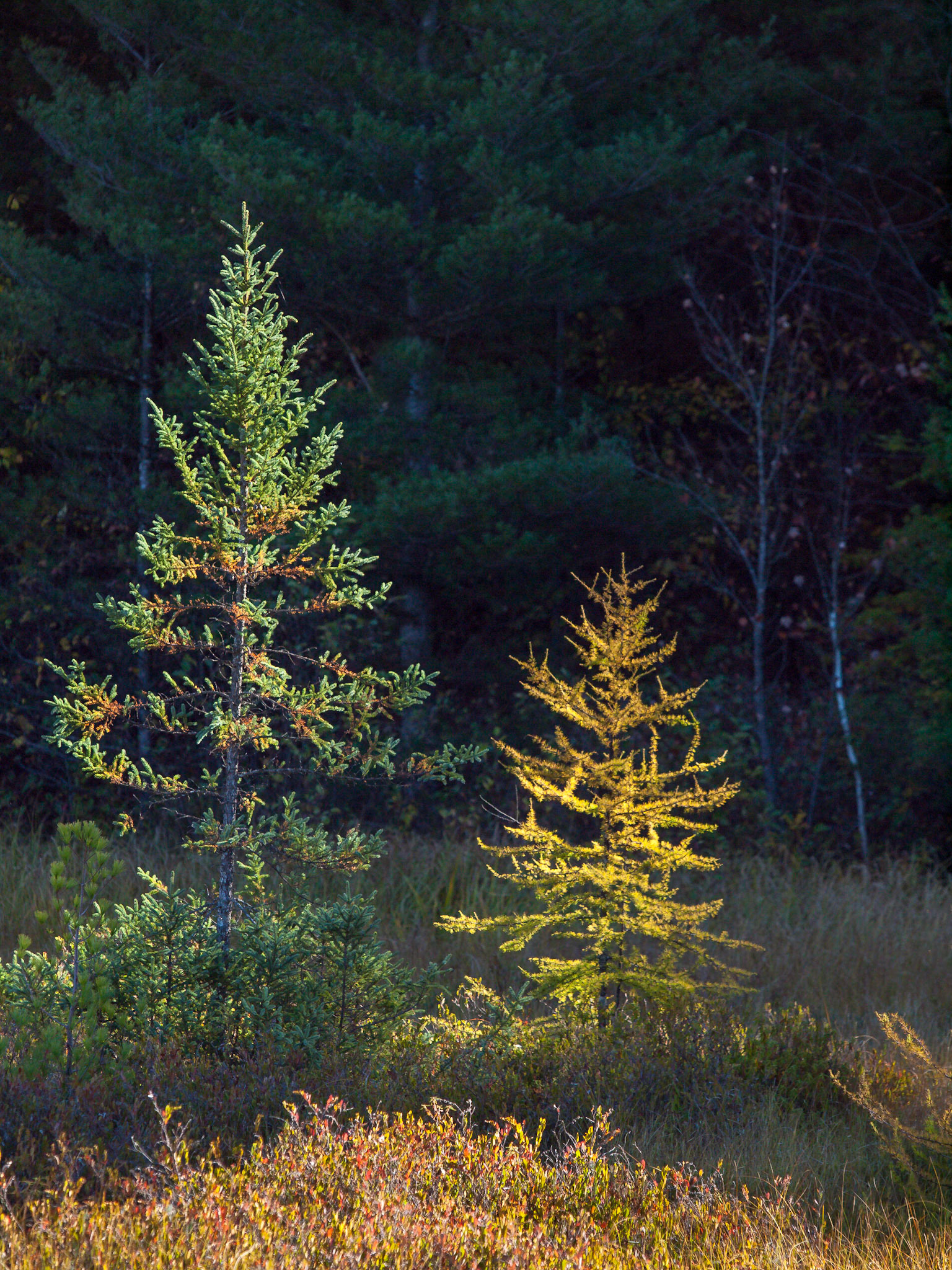 Bark Lake Leadership Centre, Irondale, Ontario