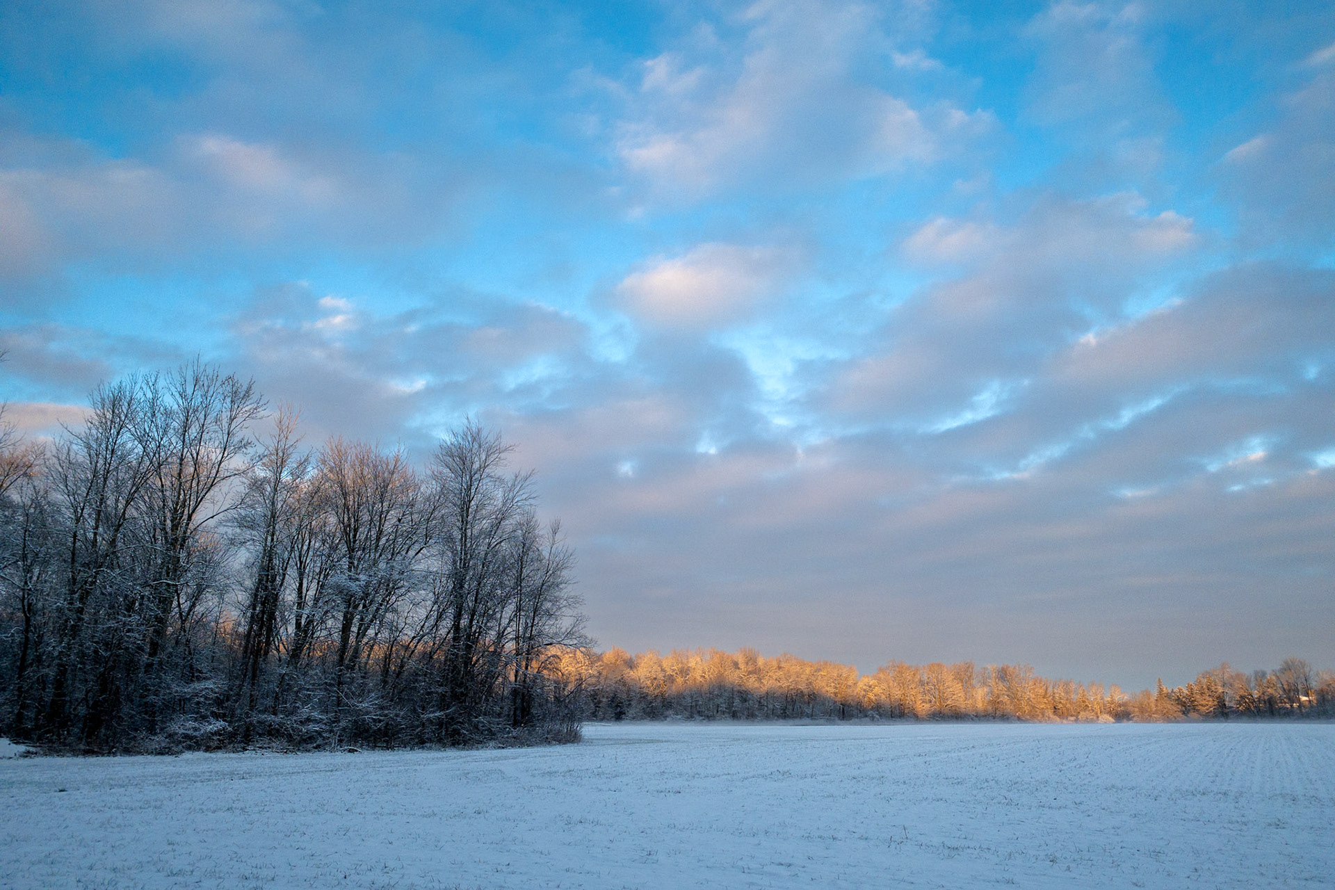 First Light