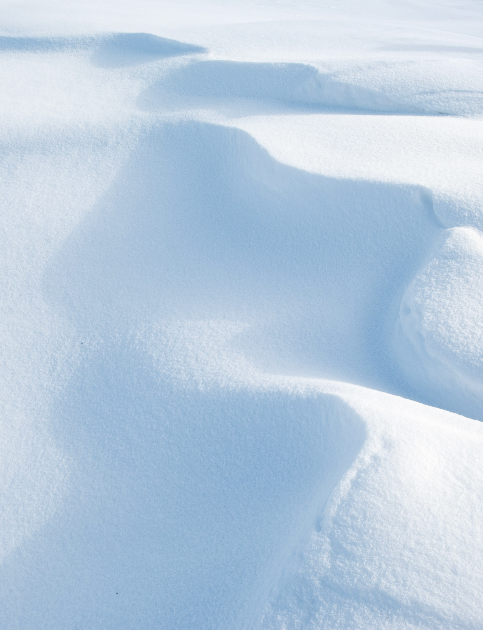 Snow Drift Patterns, Ontario (V)