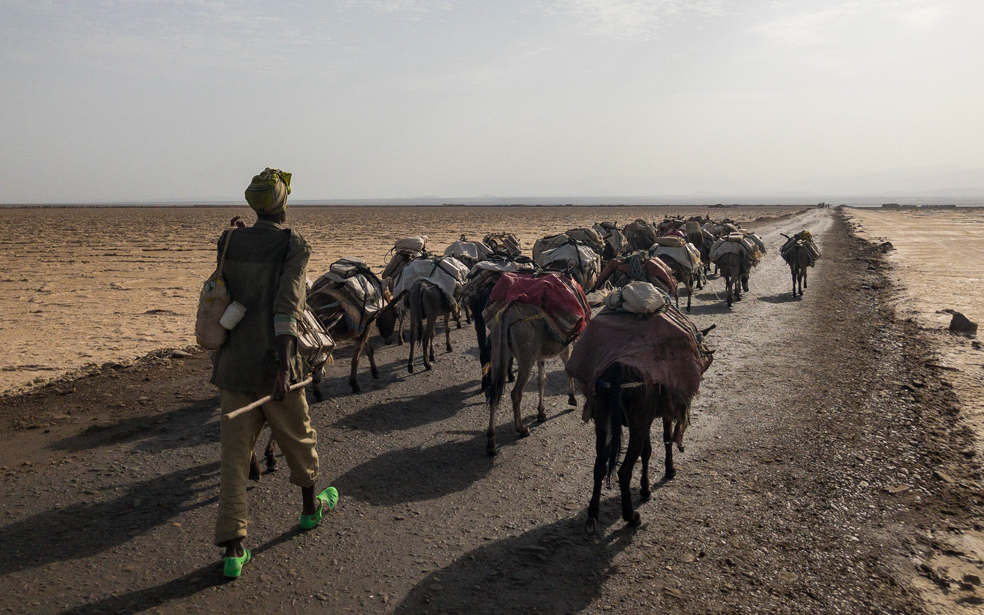 An Afari man in green plastic sandals guides a donkey train across the salt pan of the Danakil Depression, Ethiopia