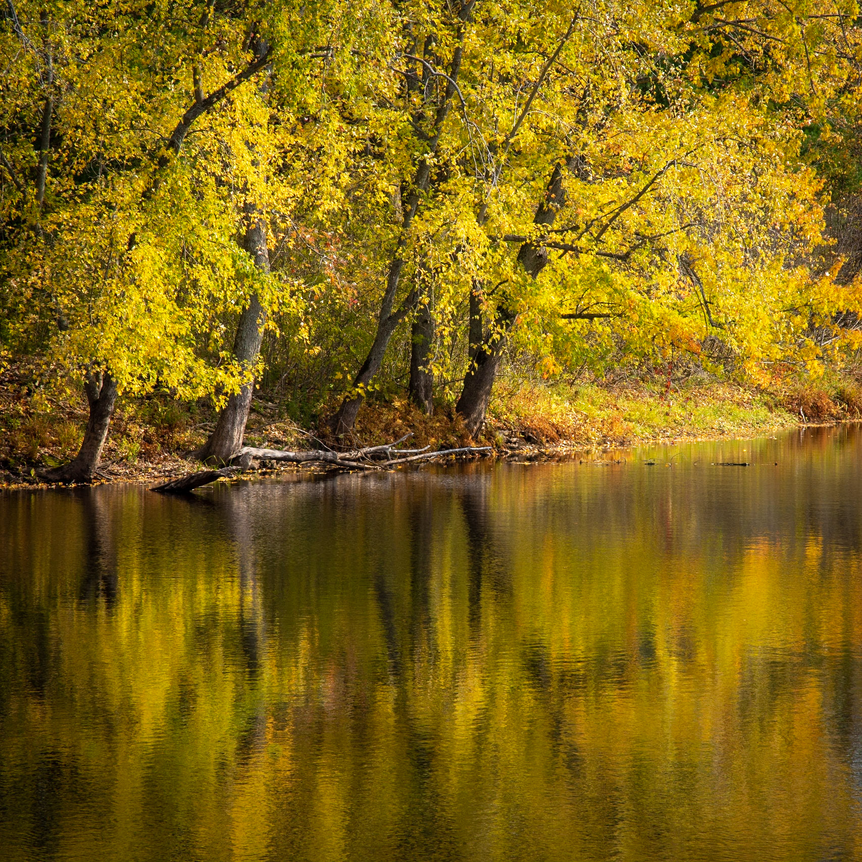 Lazy Autumn River, Ontario