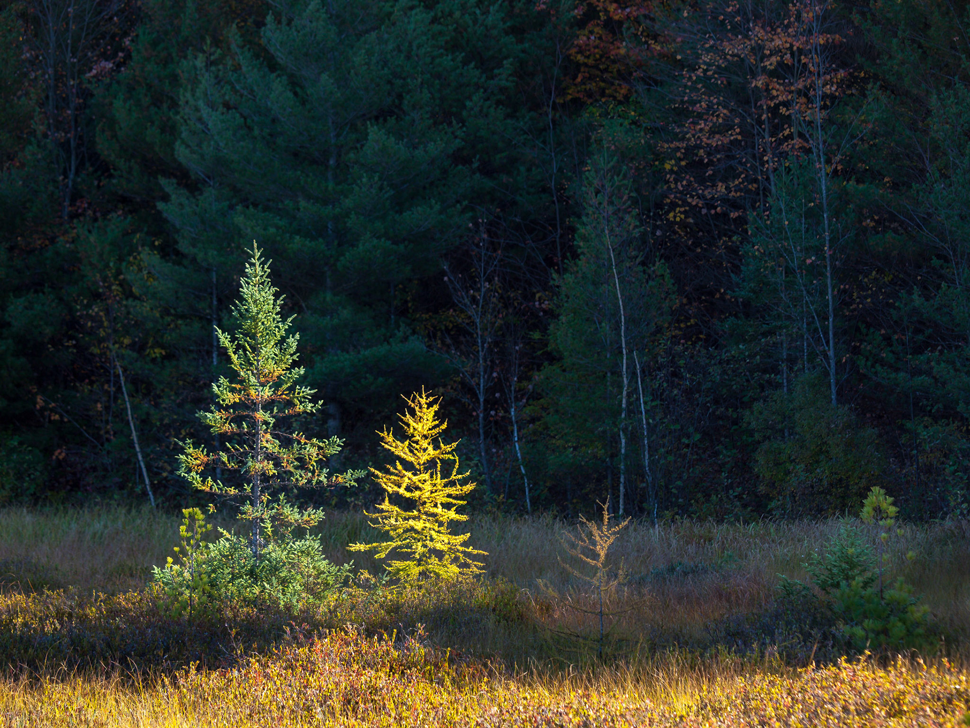 Bark Lake Leadership Centre, Irondale, Ontario